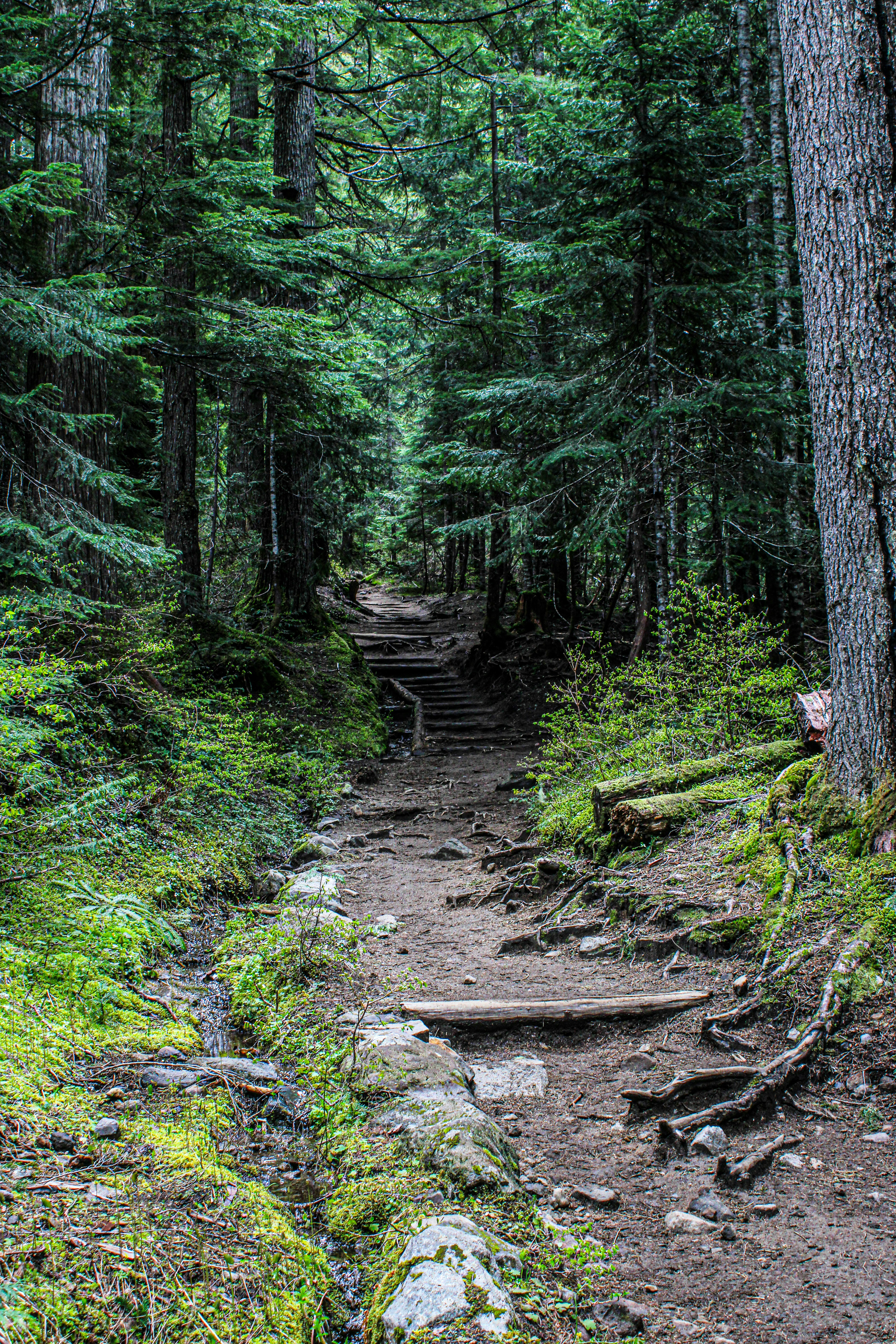 Photo by prphotography262