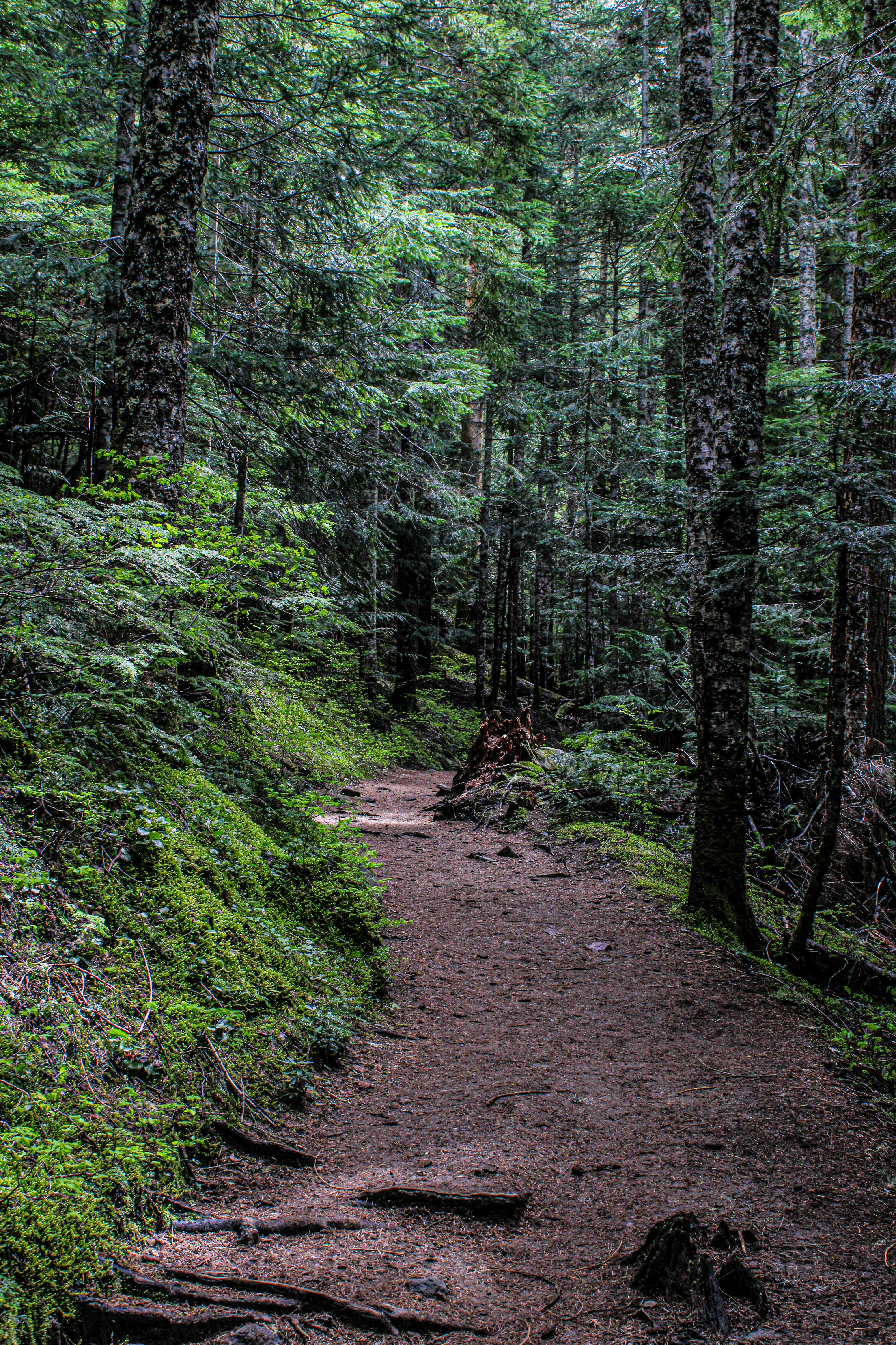 Photo by prphotography262