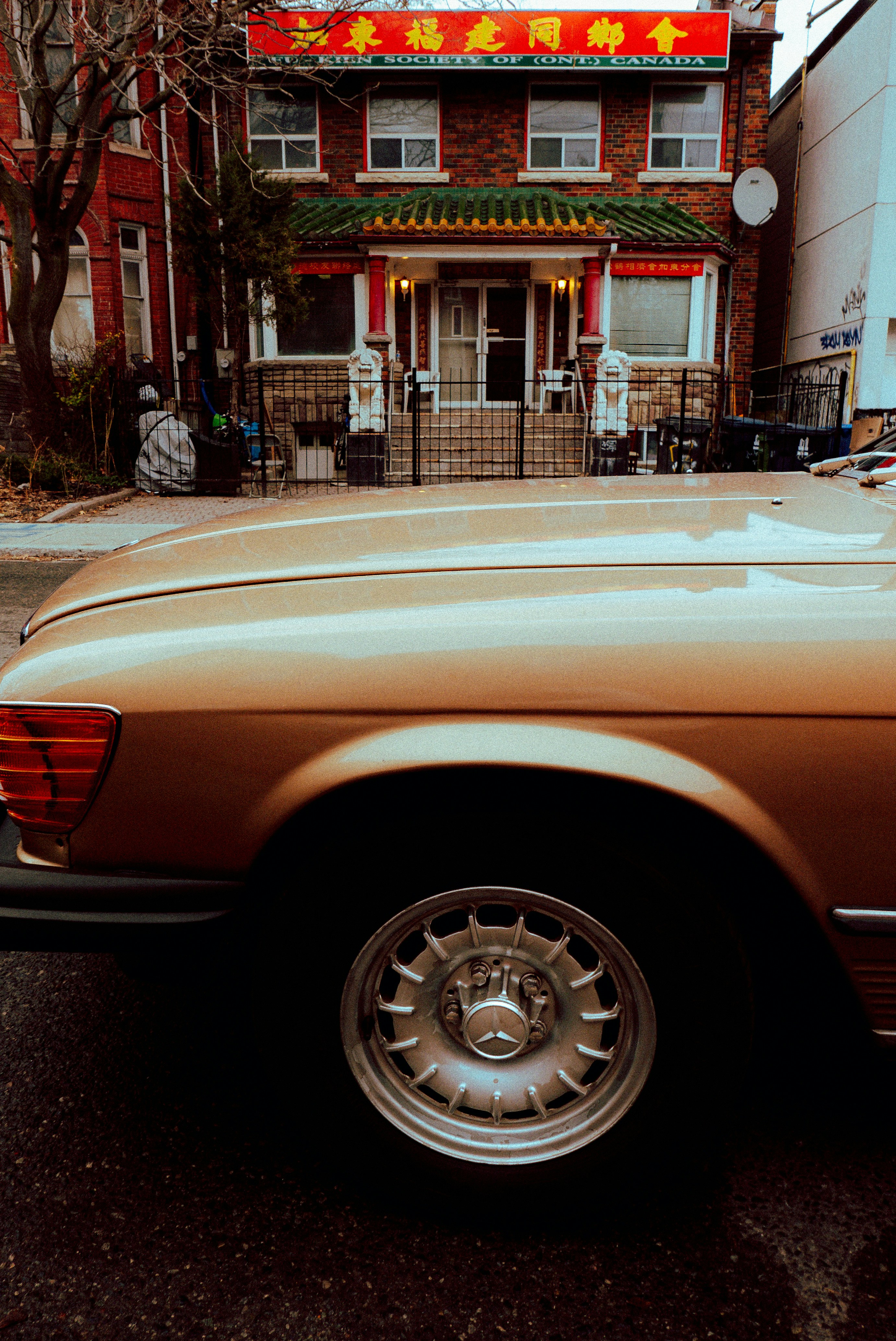 Photo by vitalymazur