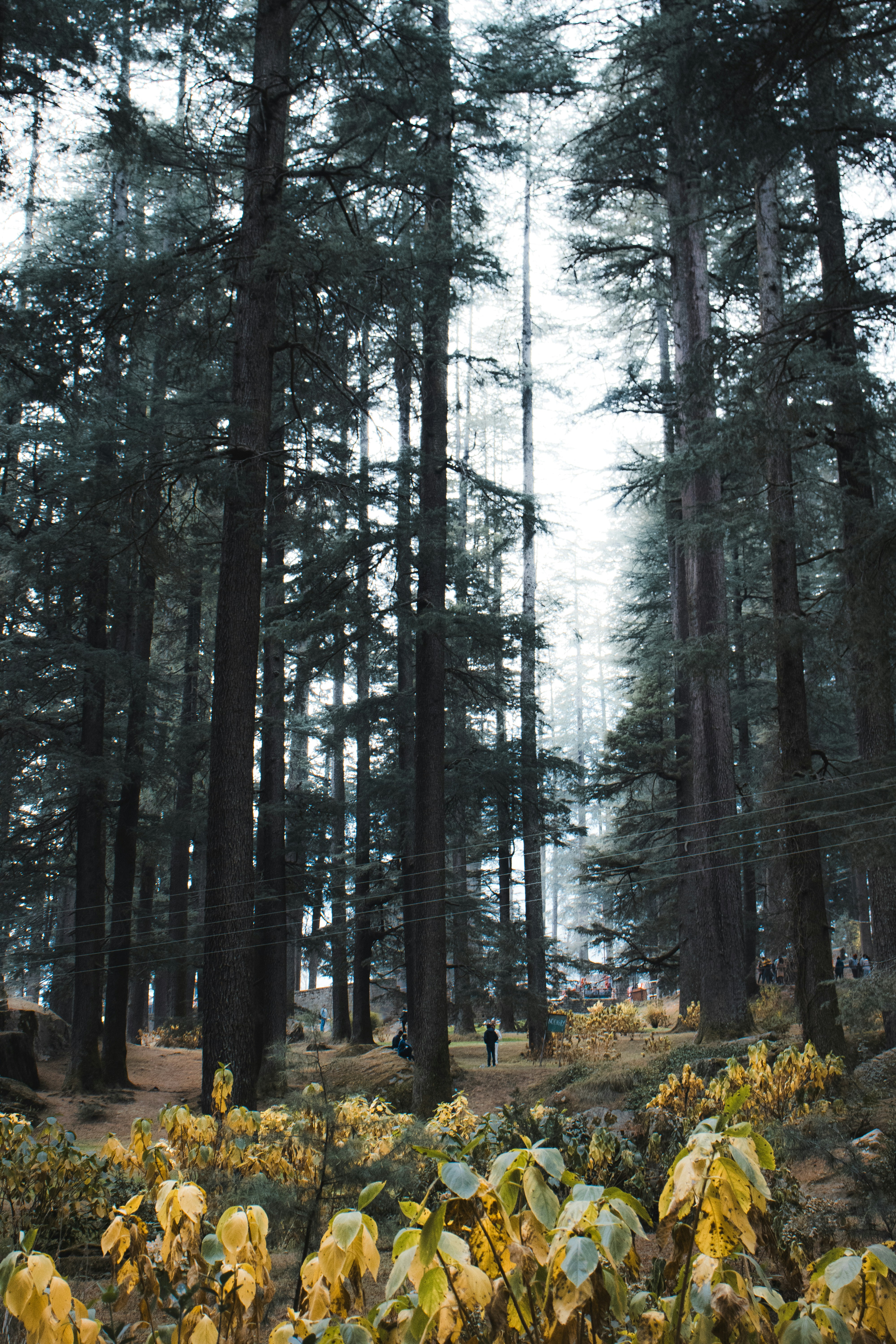 Photo by atharvad_jpeg