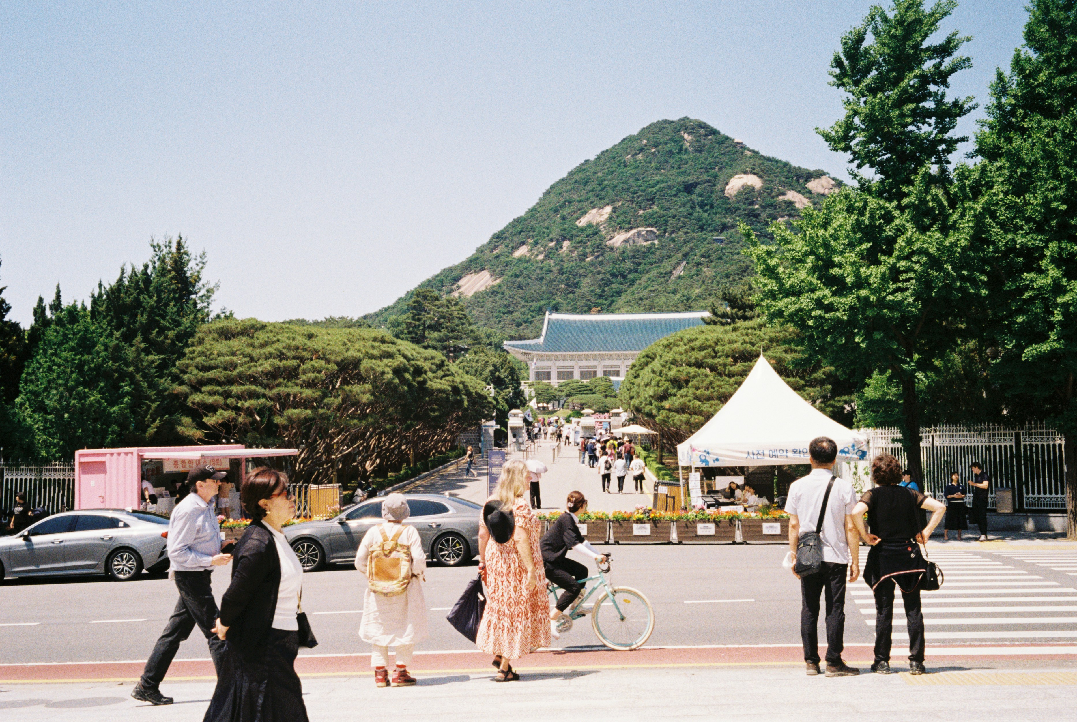 솔로 여행 혼자 국경 육로 이해하기 쉬운 텍스트 기반 블로그 이미지 - 가독성을 높이는 이미지