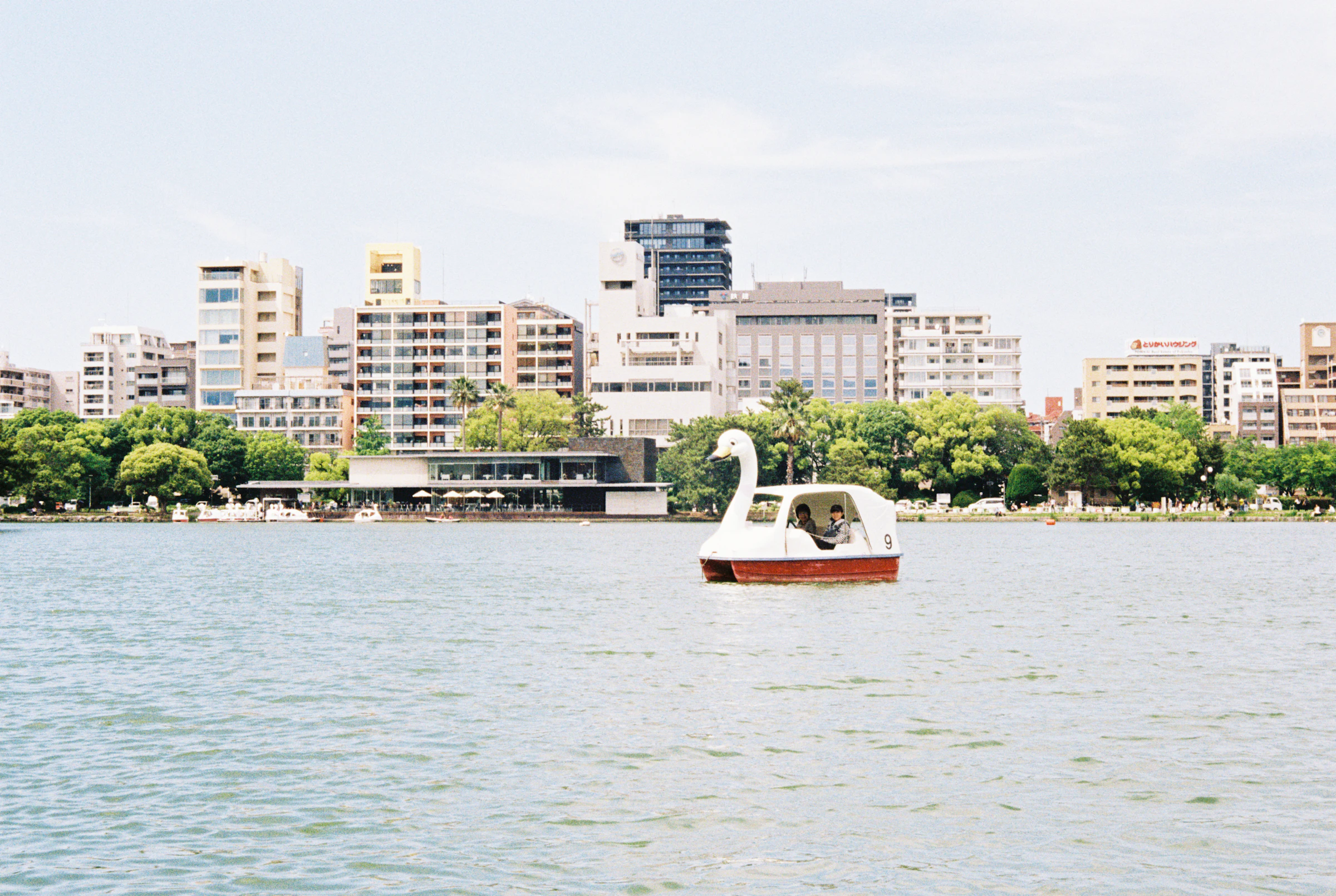 A swan paddle boat on the lake at Ohori Park with the Fukuoka skyline behind it