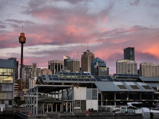 a view of a city with a lot of tall buildings