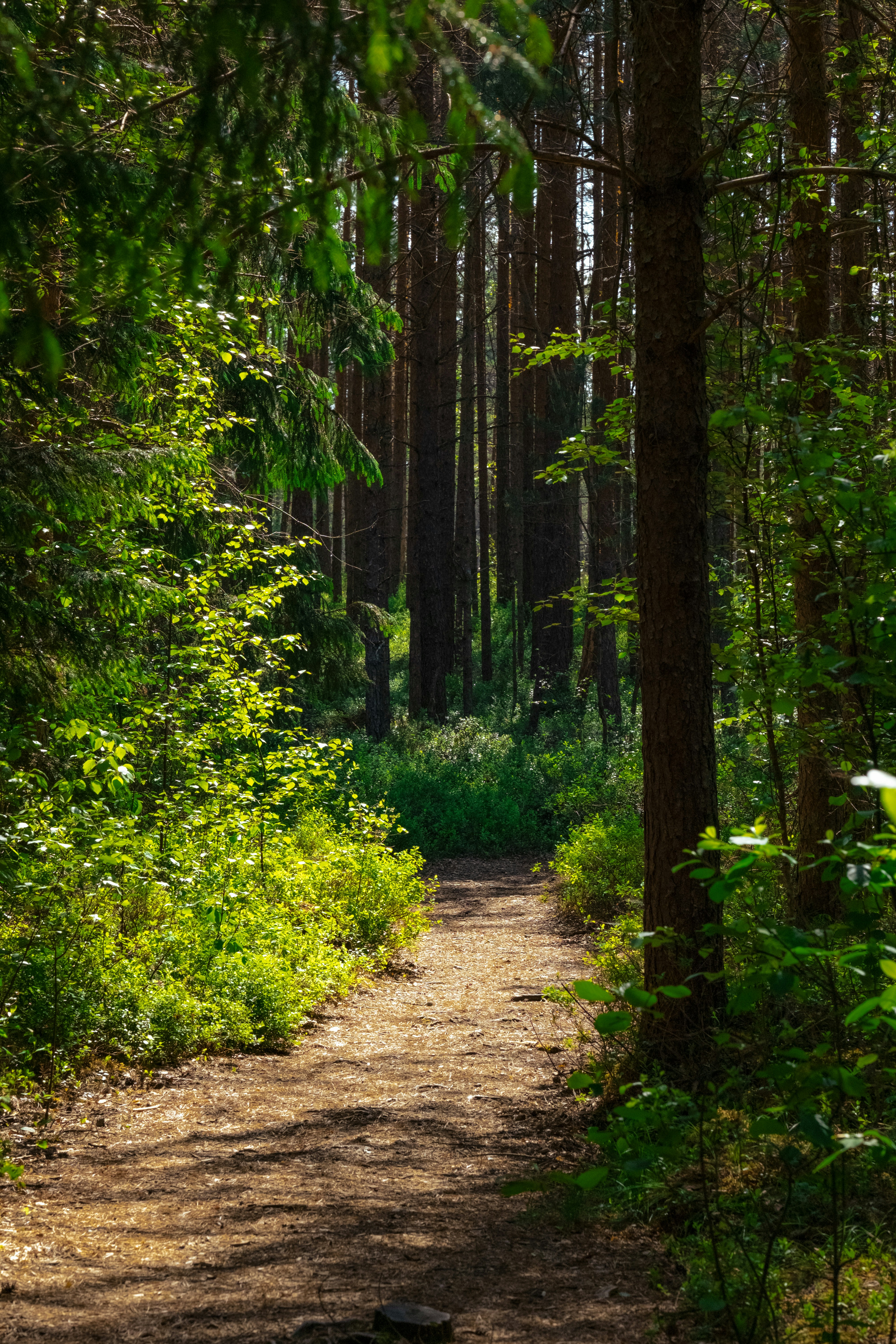 Photo by genet_schneider