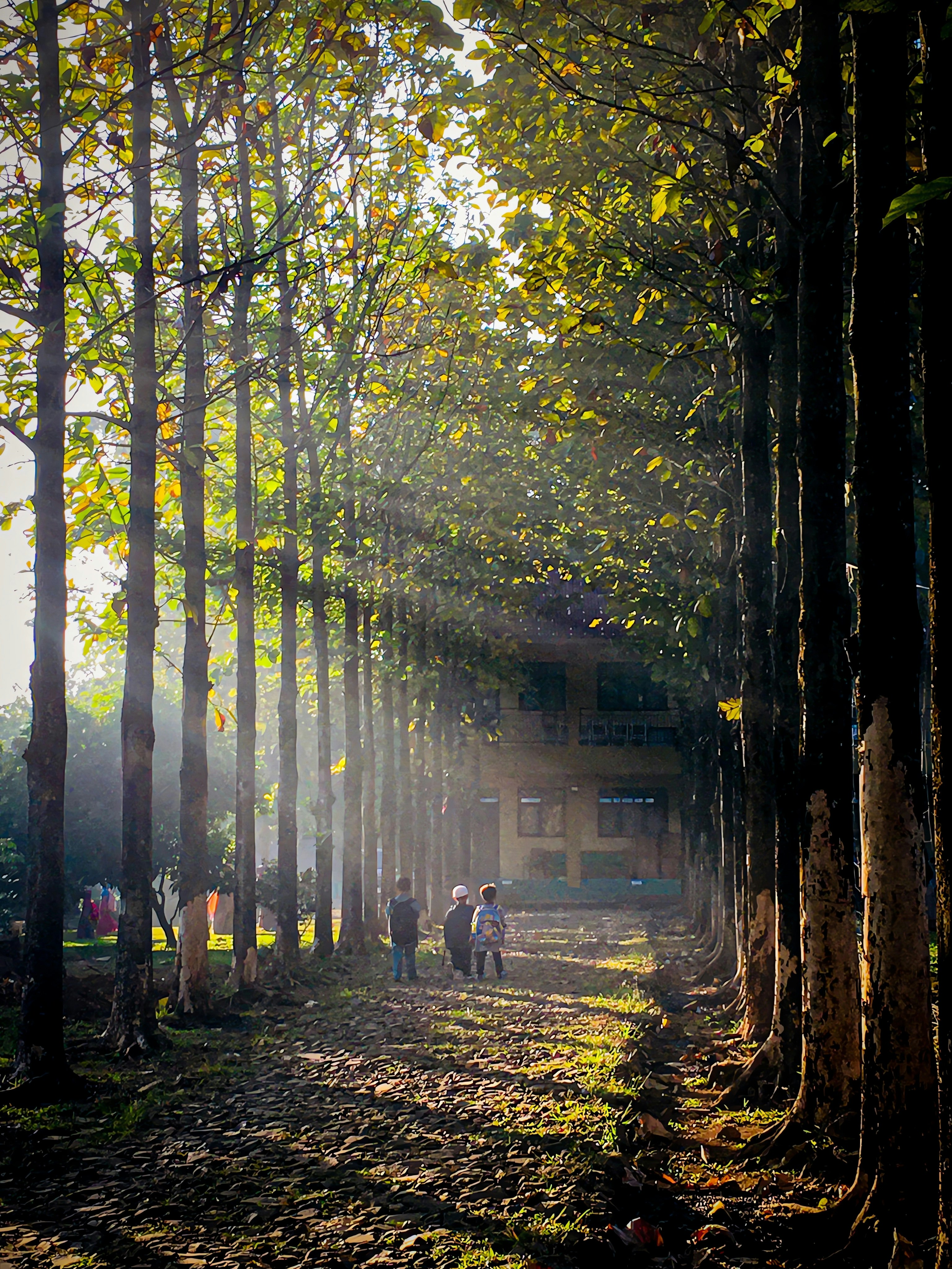Hukum Keluarga di Purwakarta: Perceraian & Isbat Nikah