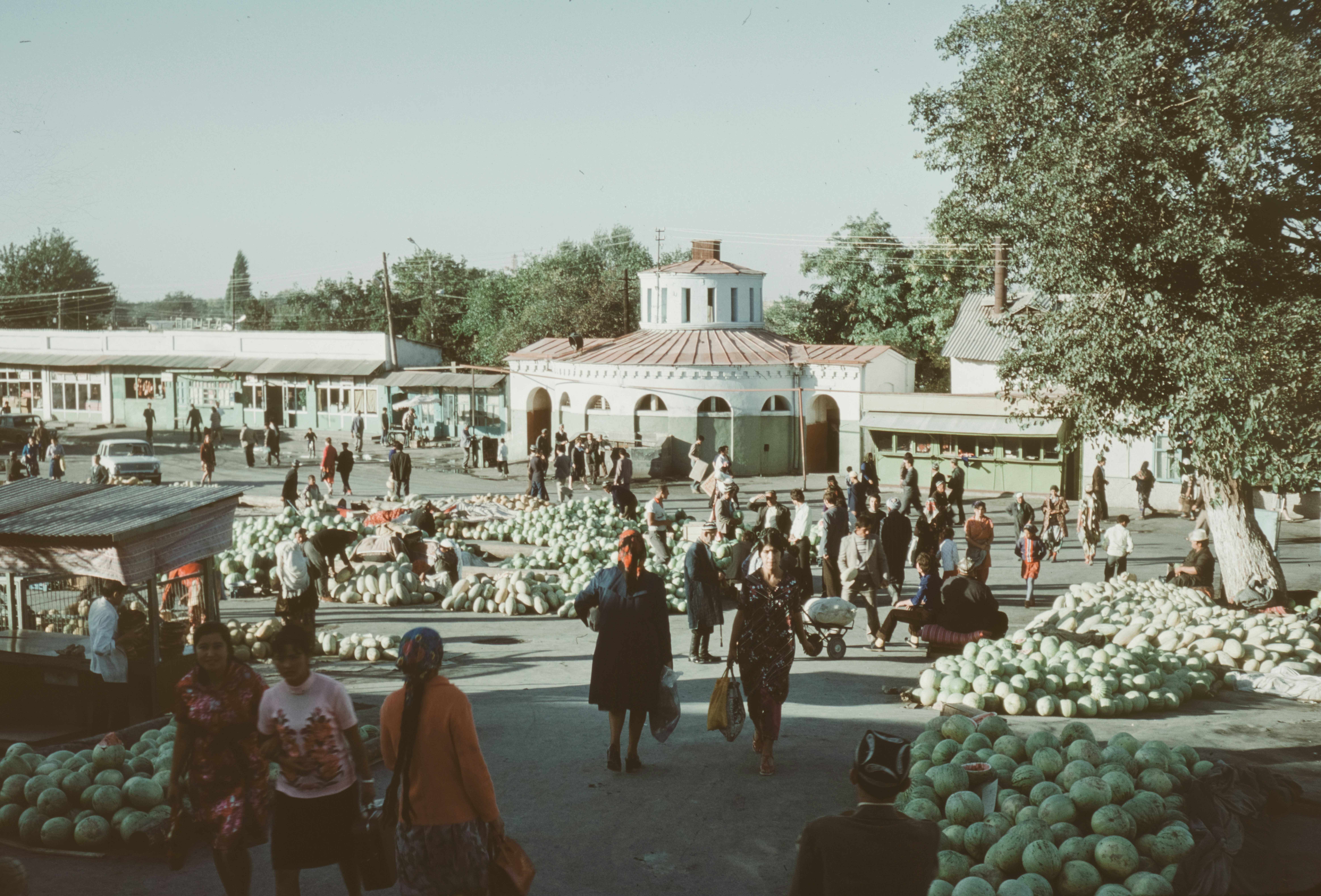 Nishon, Uzbekistan - None