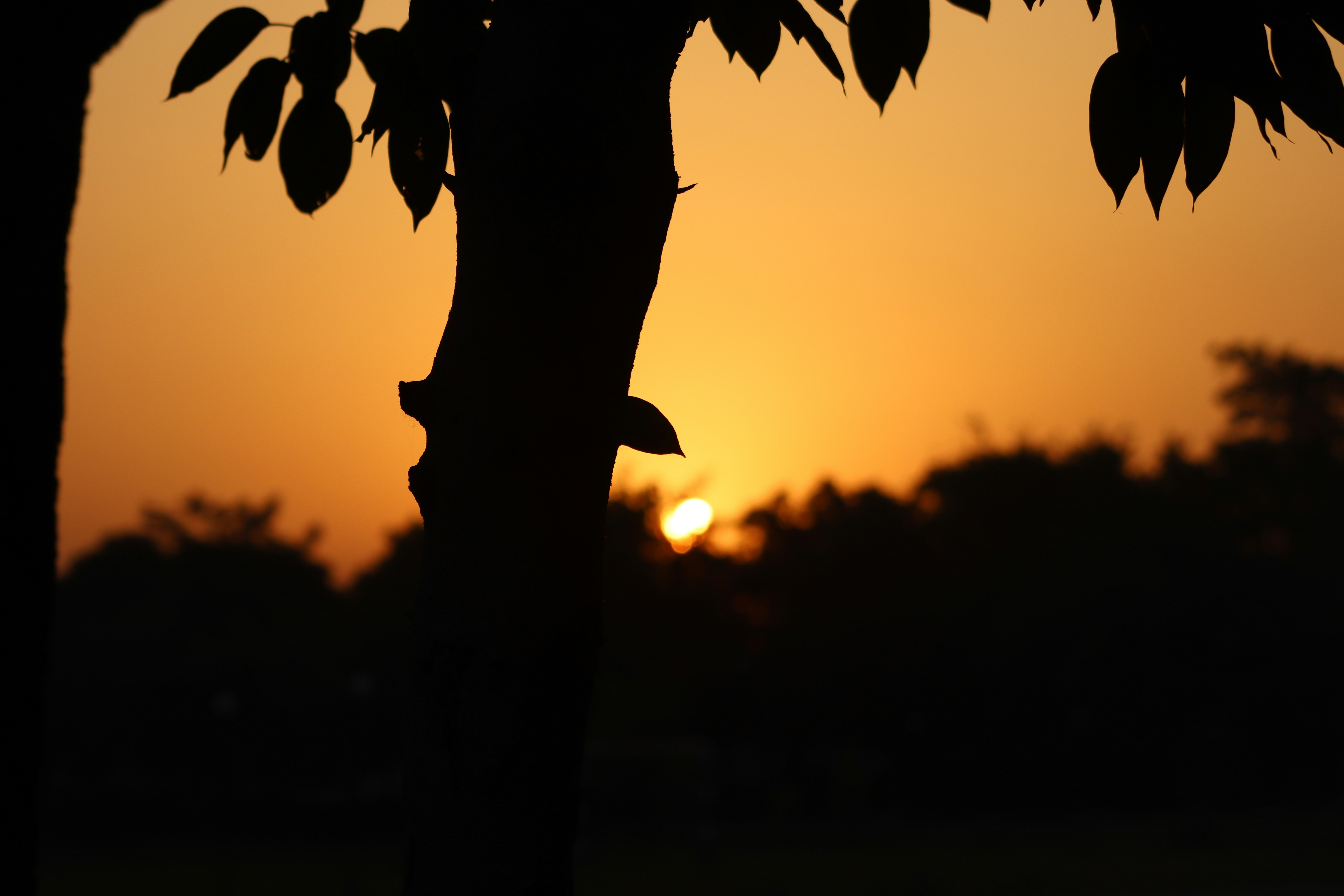 Photo by drphotographer152