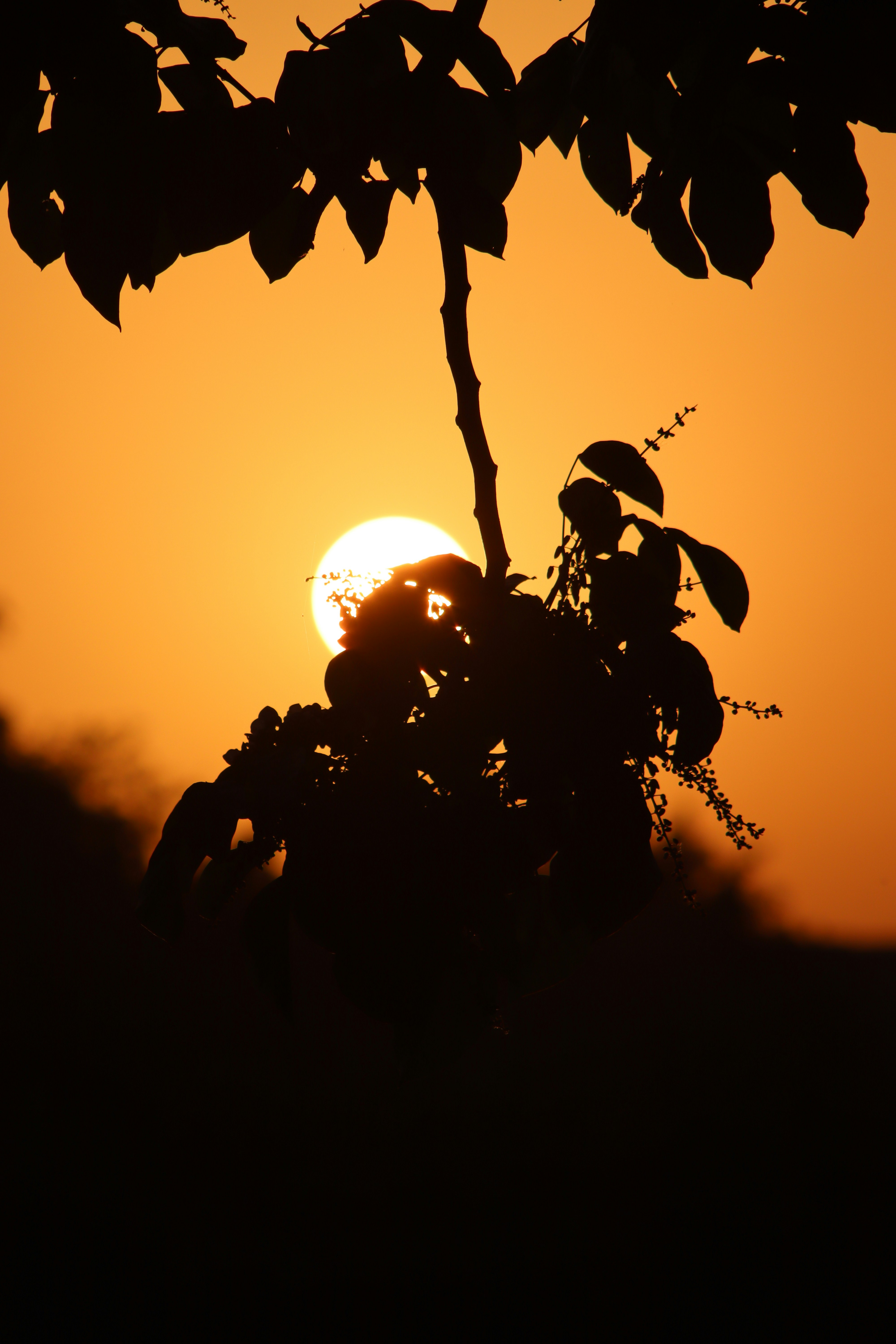 Photo by drphotographer152