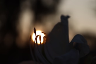 Strategic Foresight via an image of the sun rising portraying the future mega trends  ahead