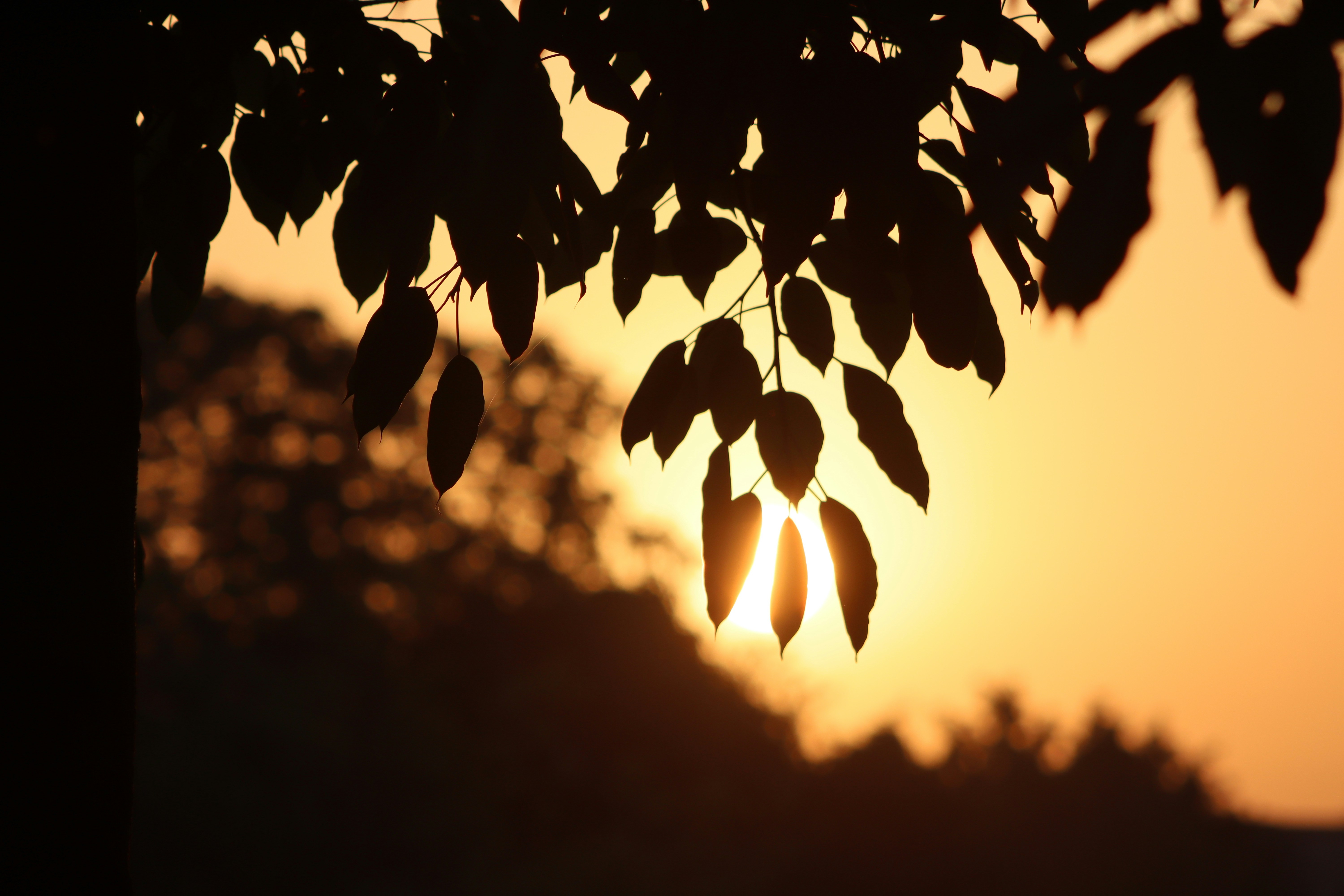 Photo by drphotographer152