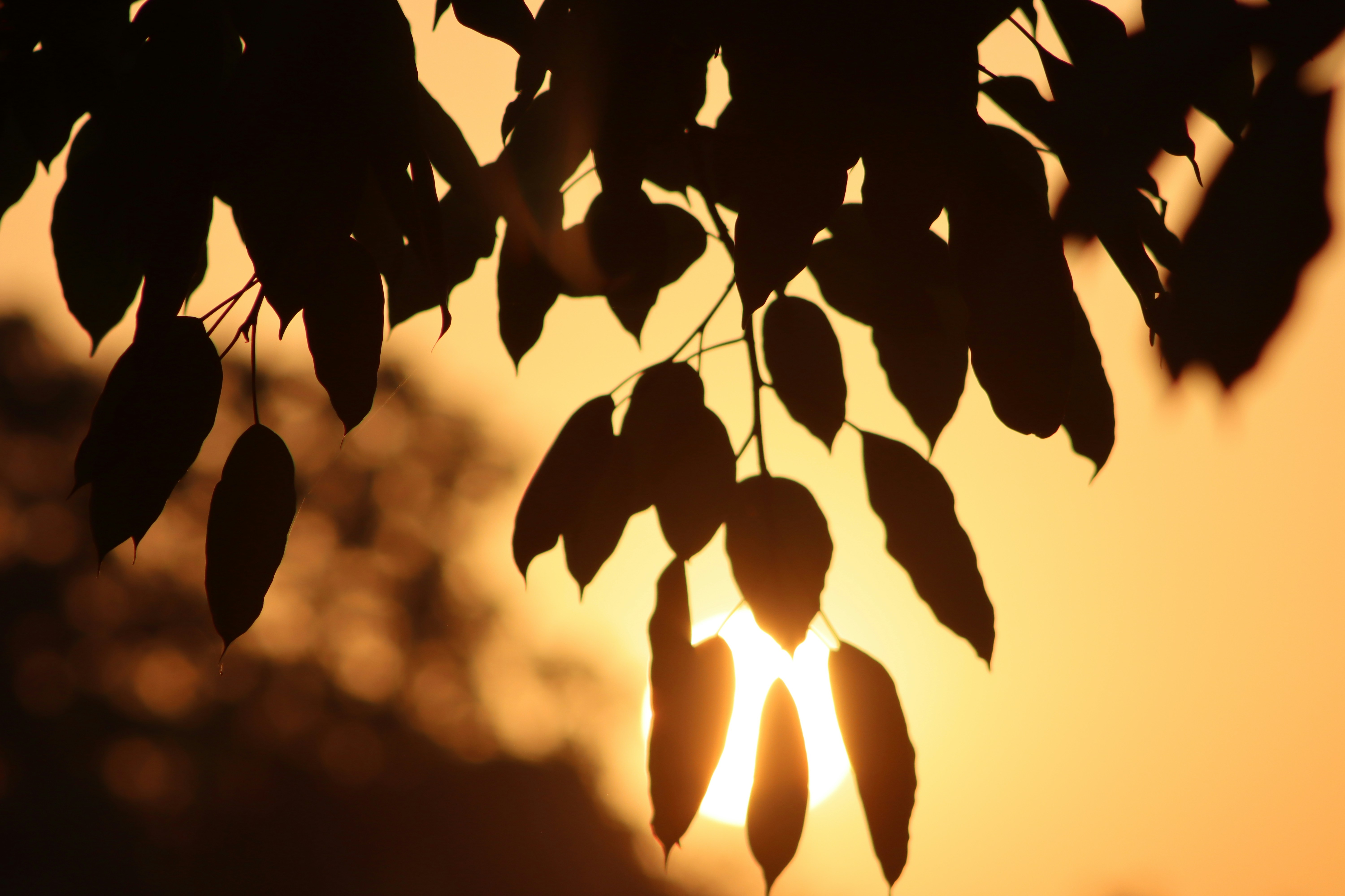 Photo by drphotographer152