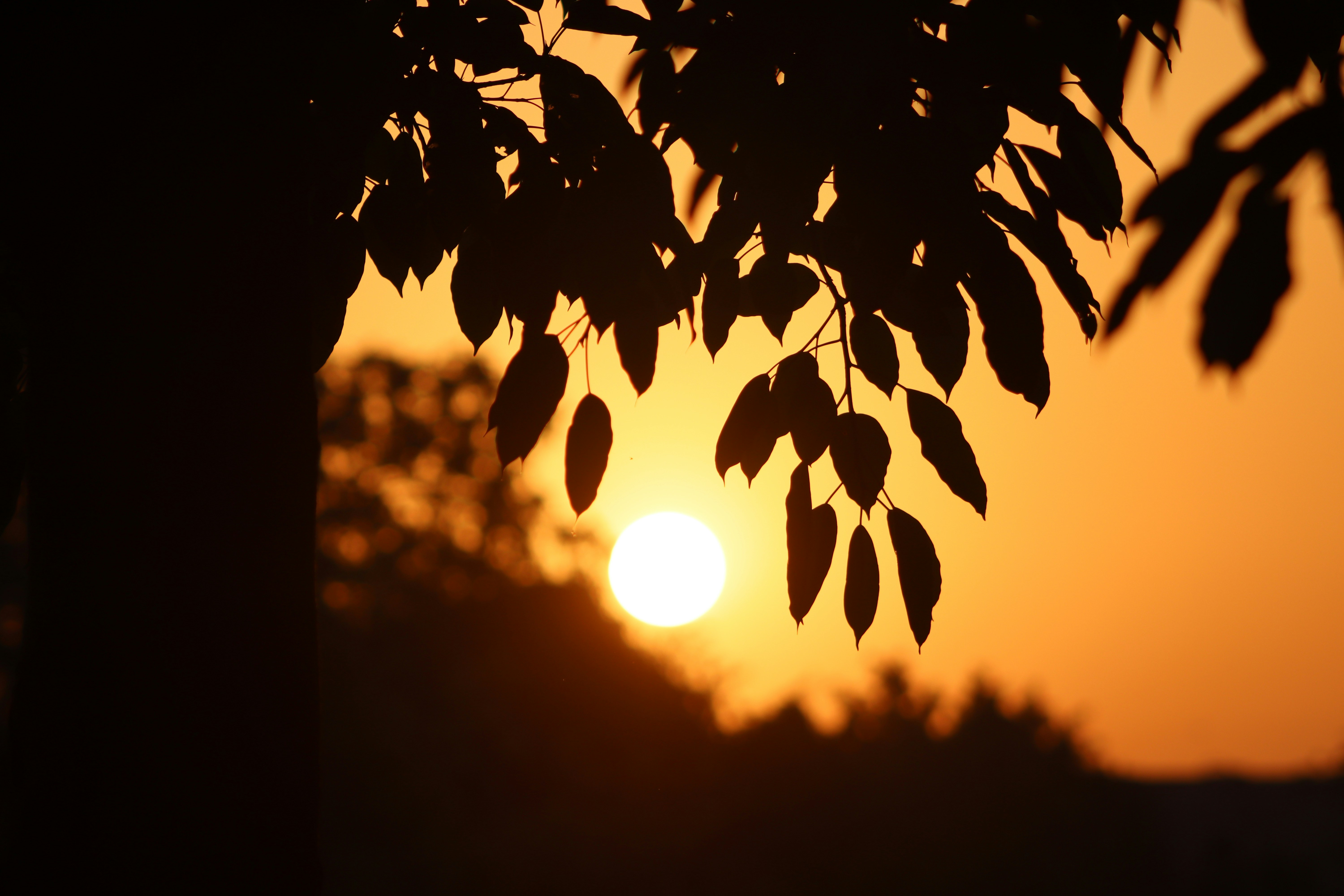 Photo by drphotographer152