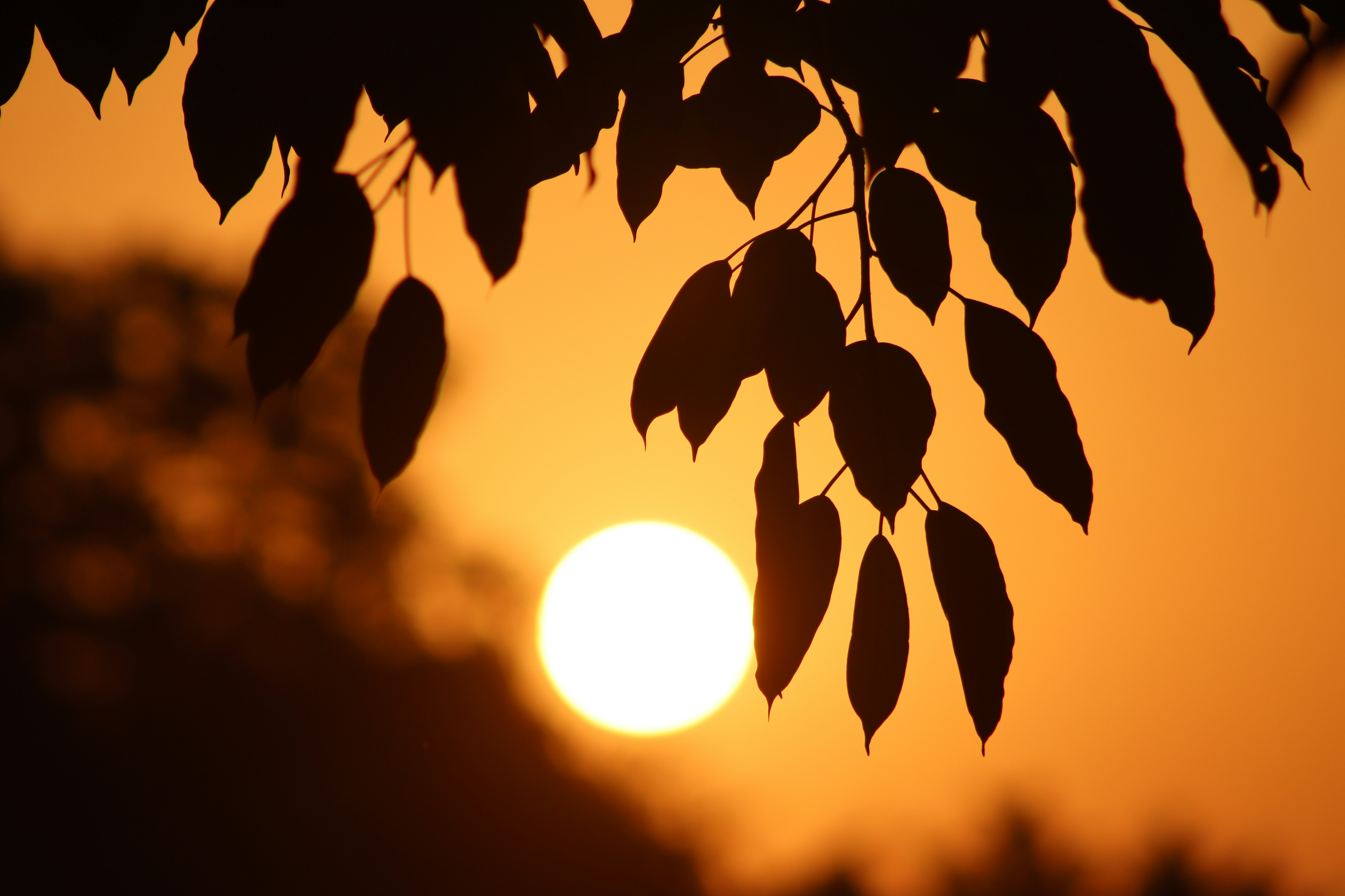 Photo by drphotographer152