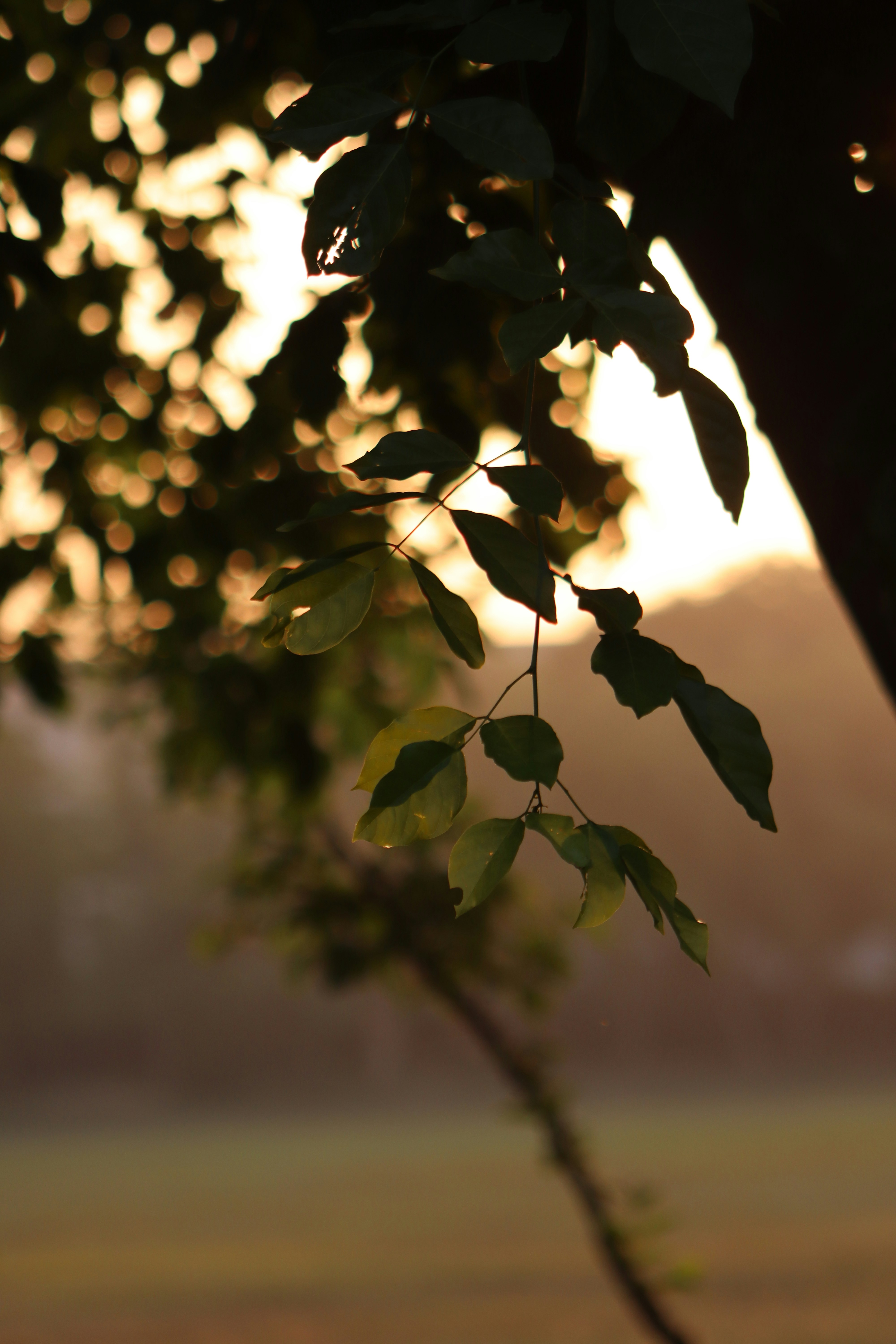 photo-1717233650942-238f3b566ea6?ixid=M3