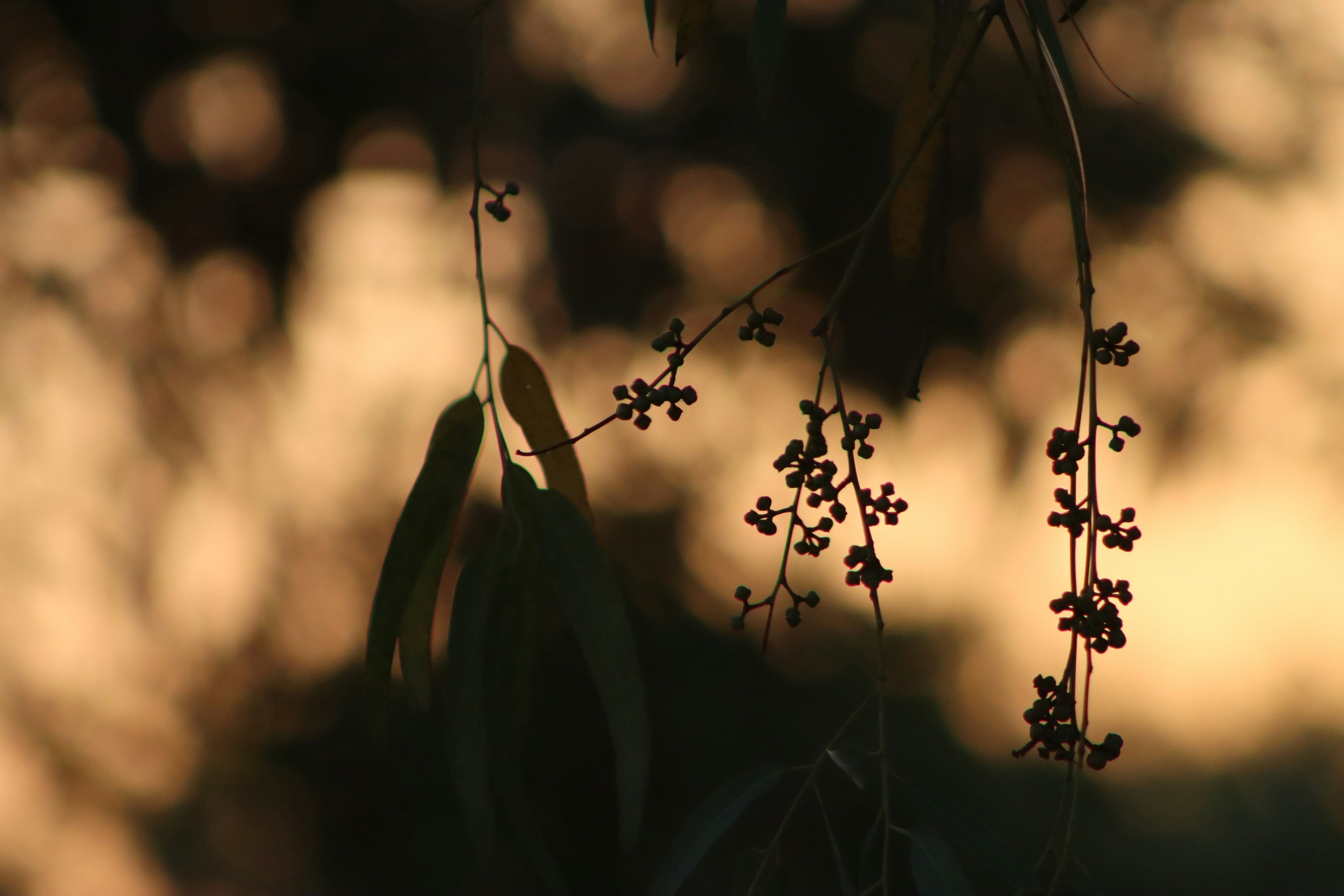 Photo by drphotographer152