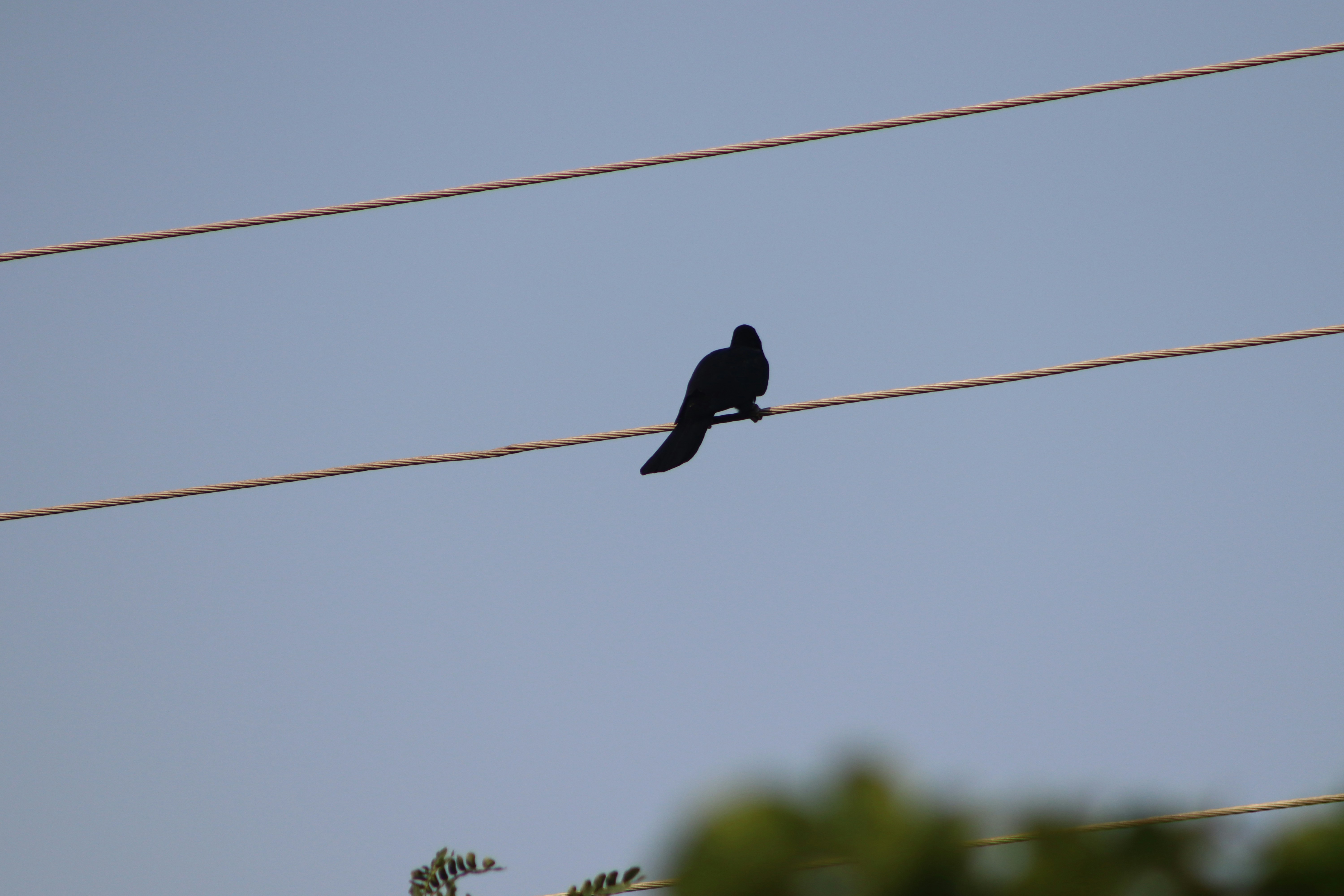 Photo by drphotographer152