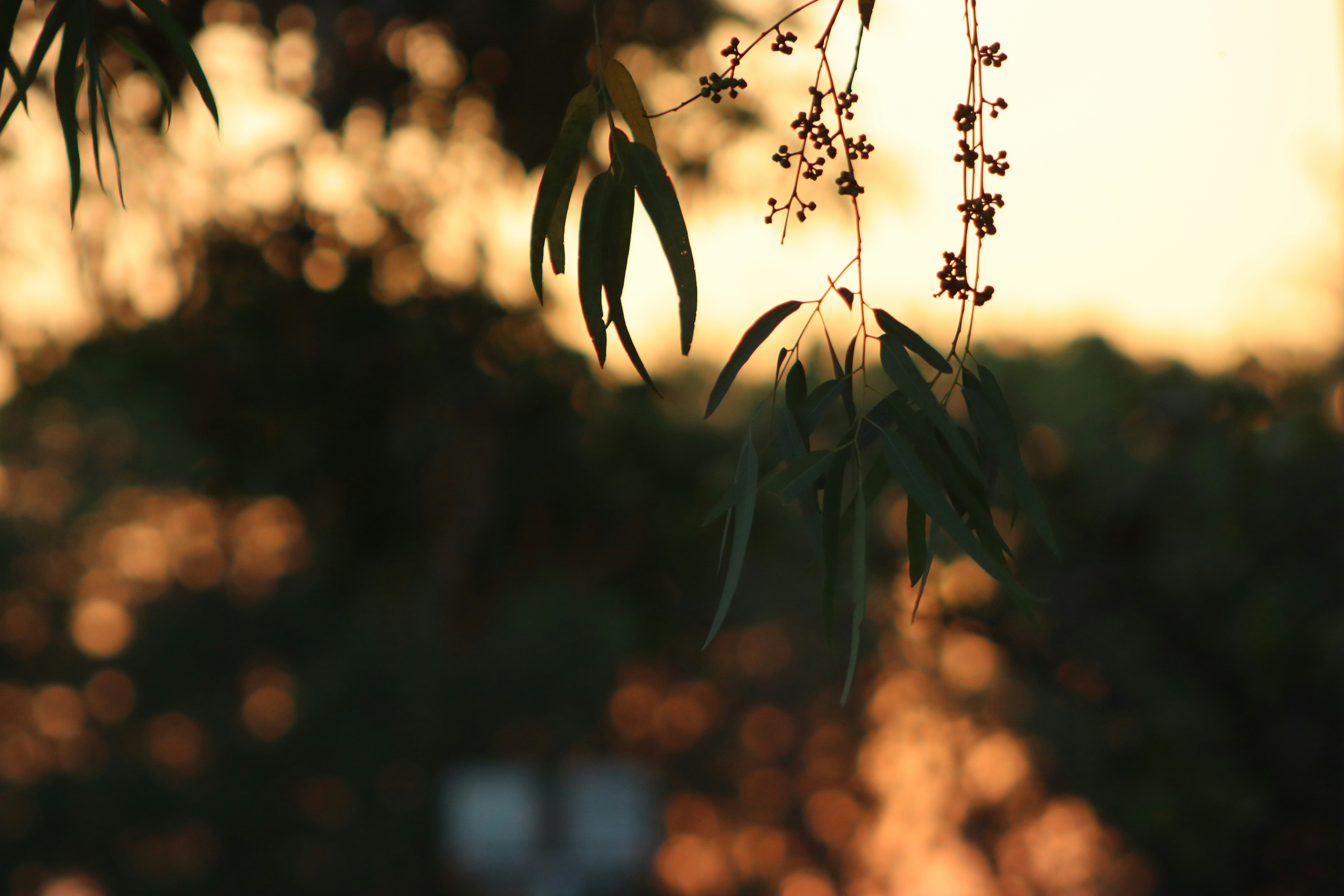 Photo by drphotographer152