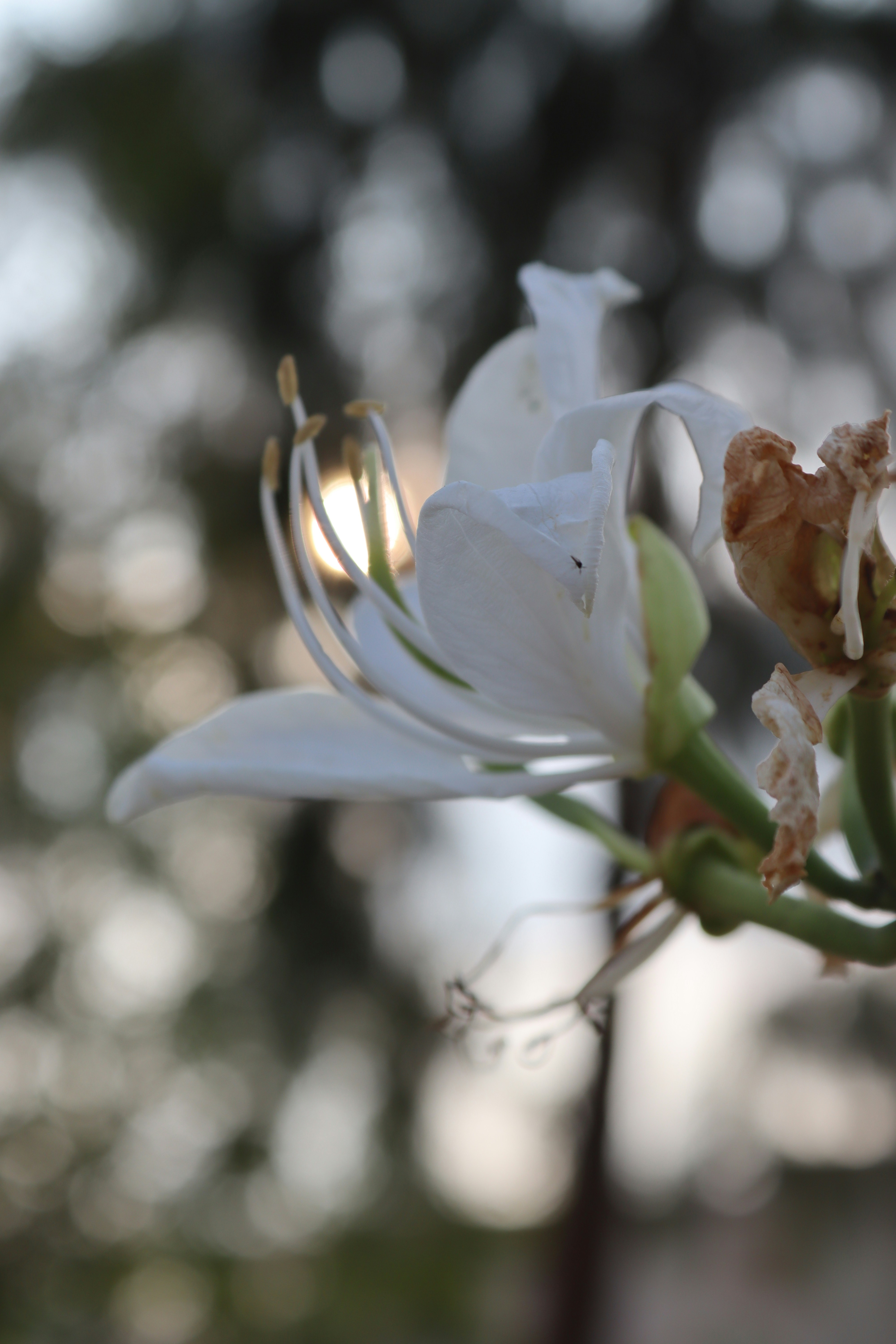 Photo by drphotographer152