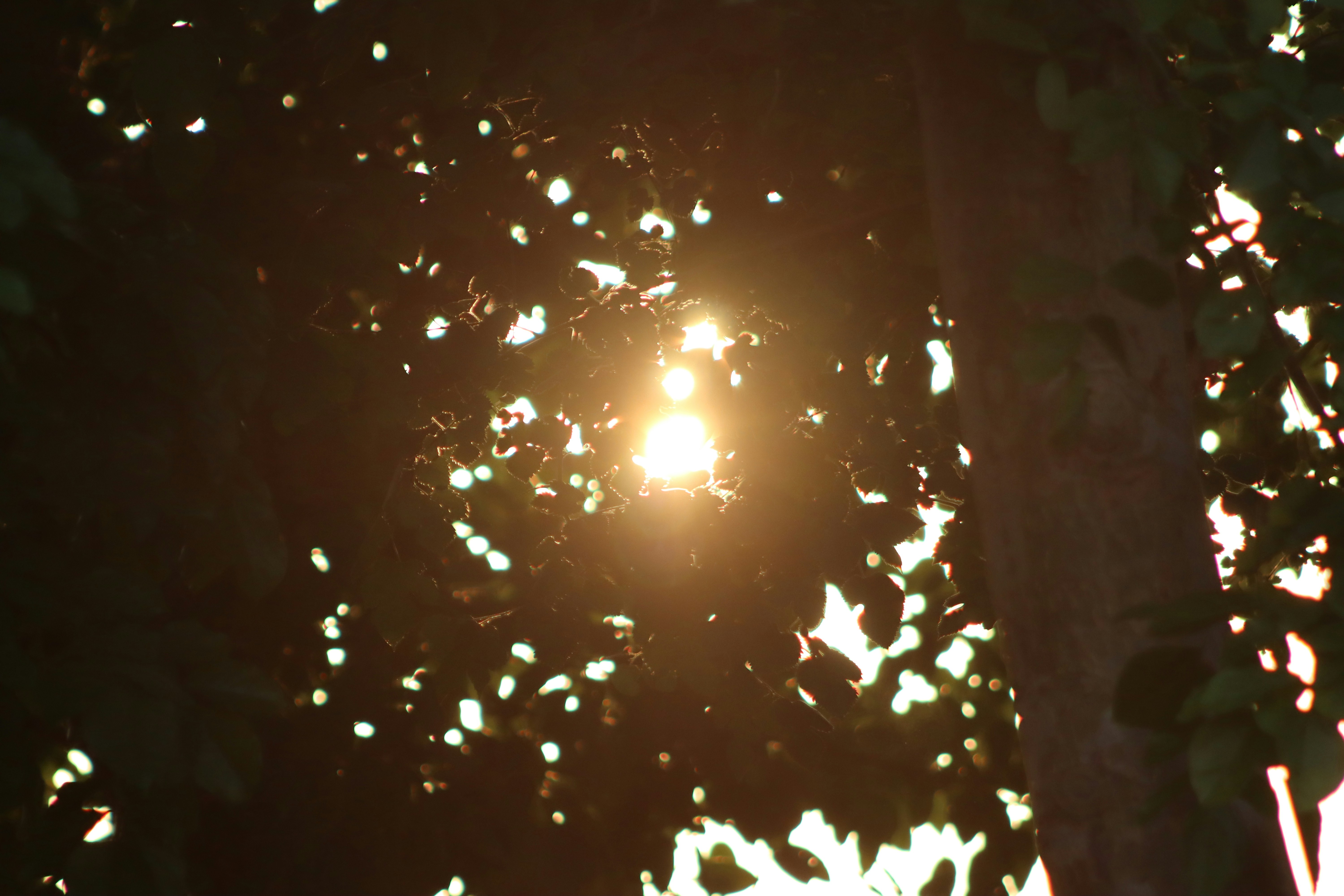 Photo by drphotographer152