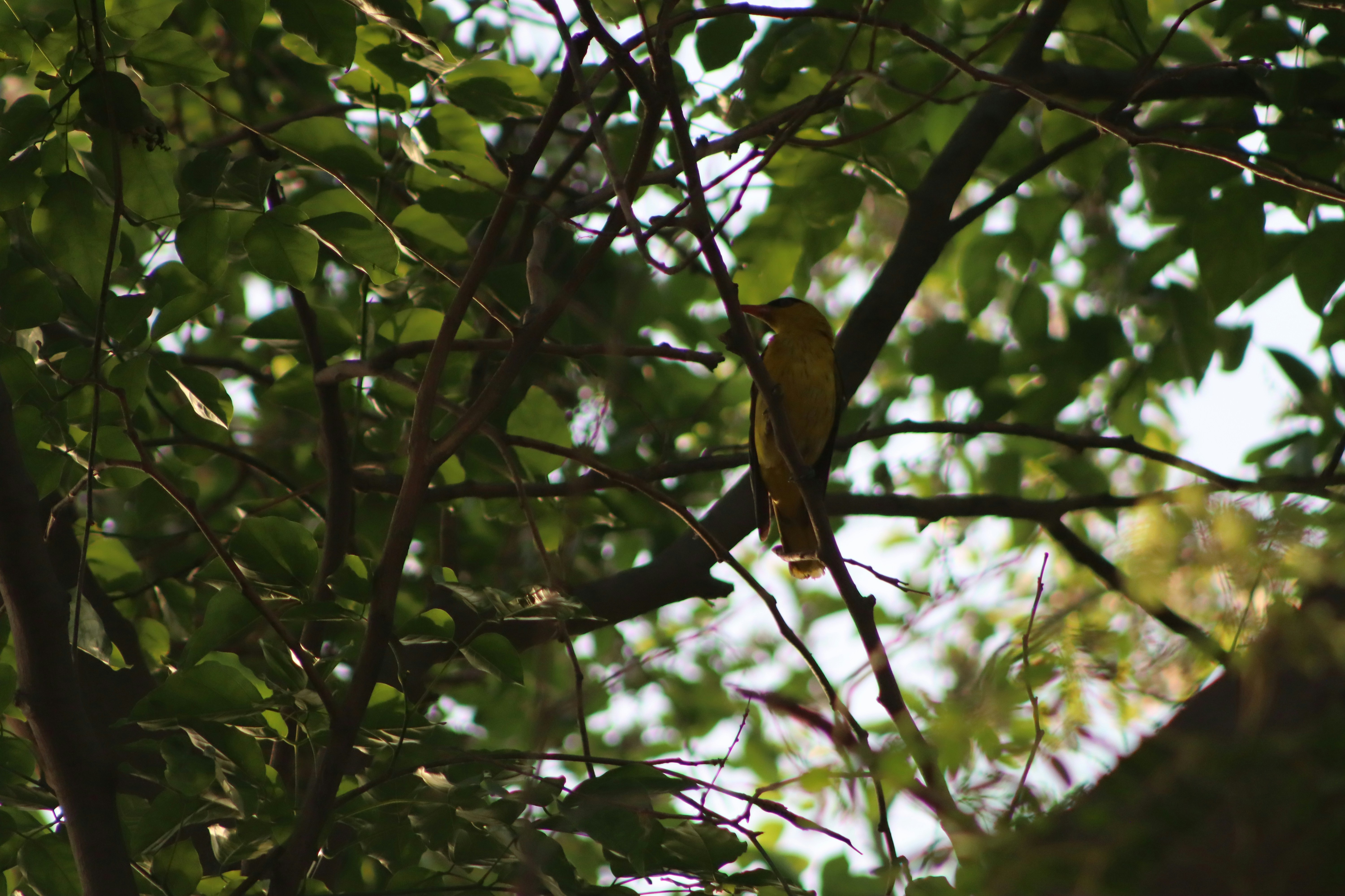 Photo by drphotographer152