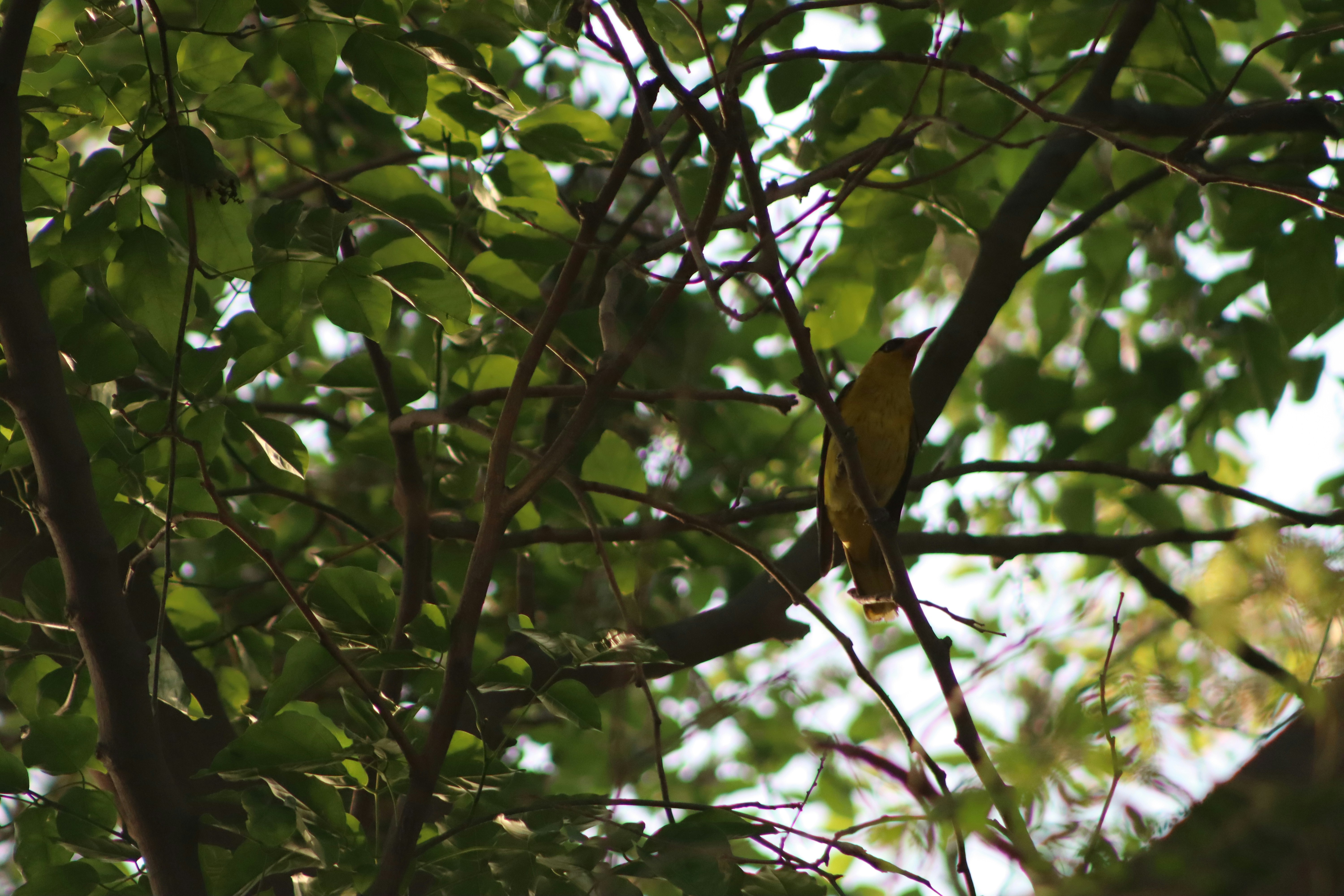 Photo by drphotographer152