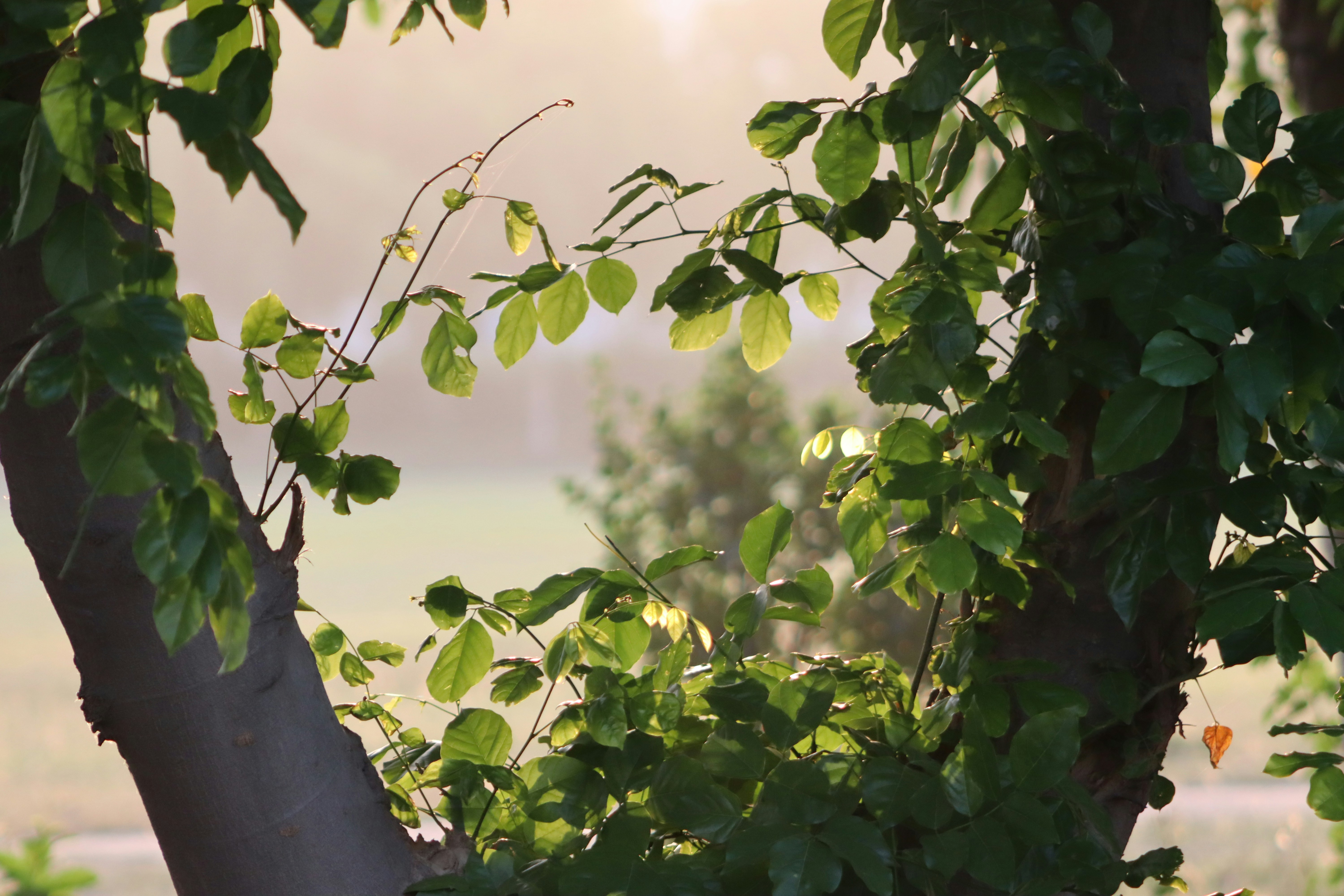 Photo by drphotographer152