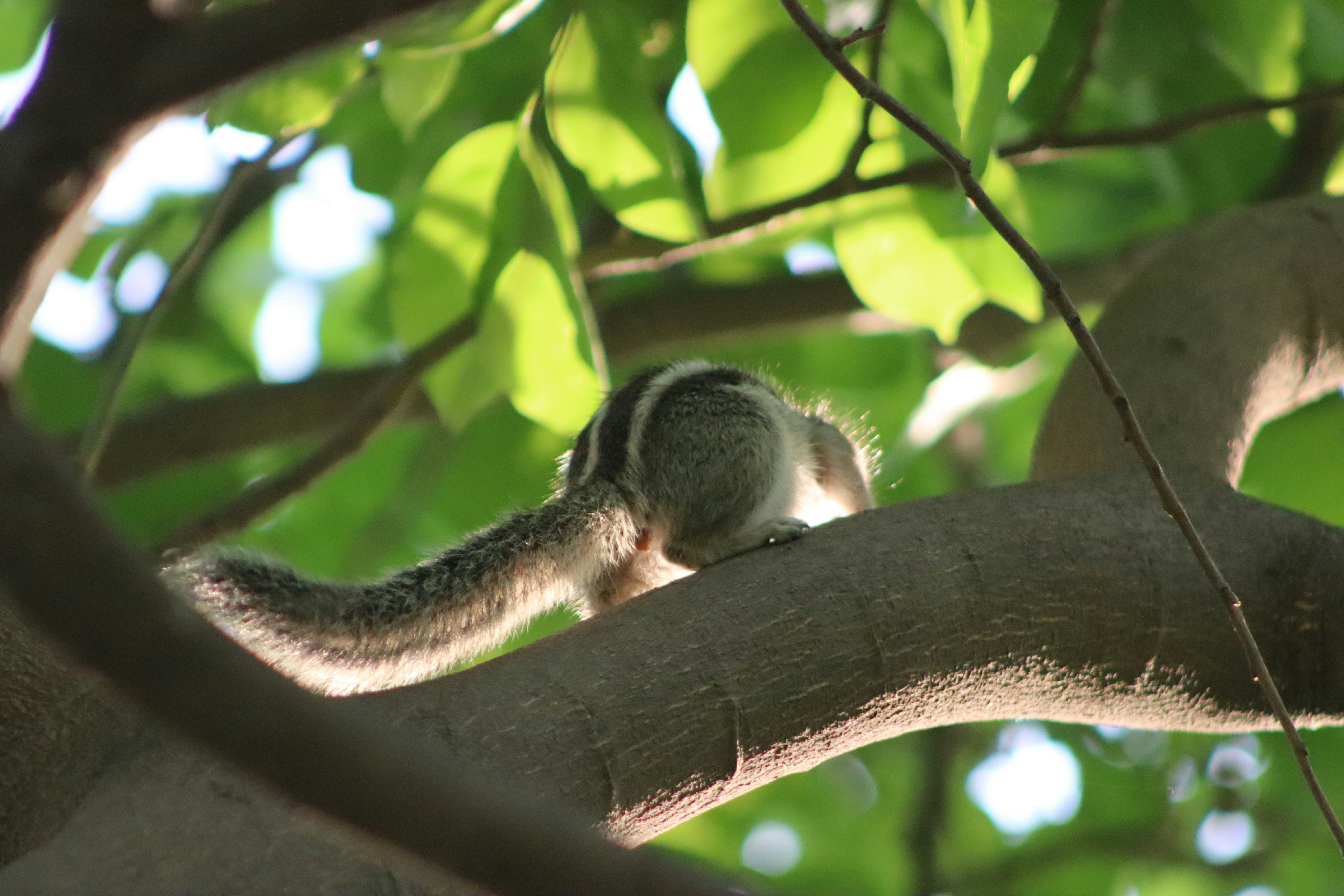 Photo by drphotographer152