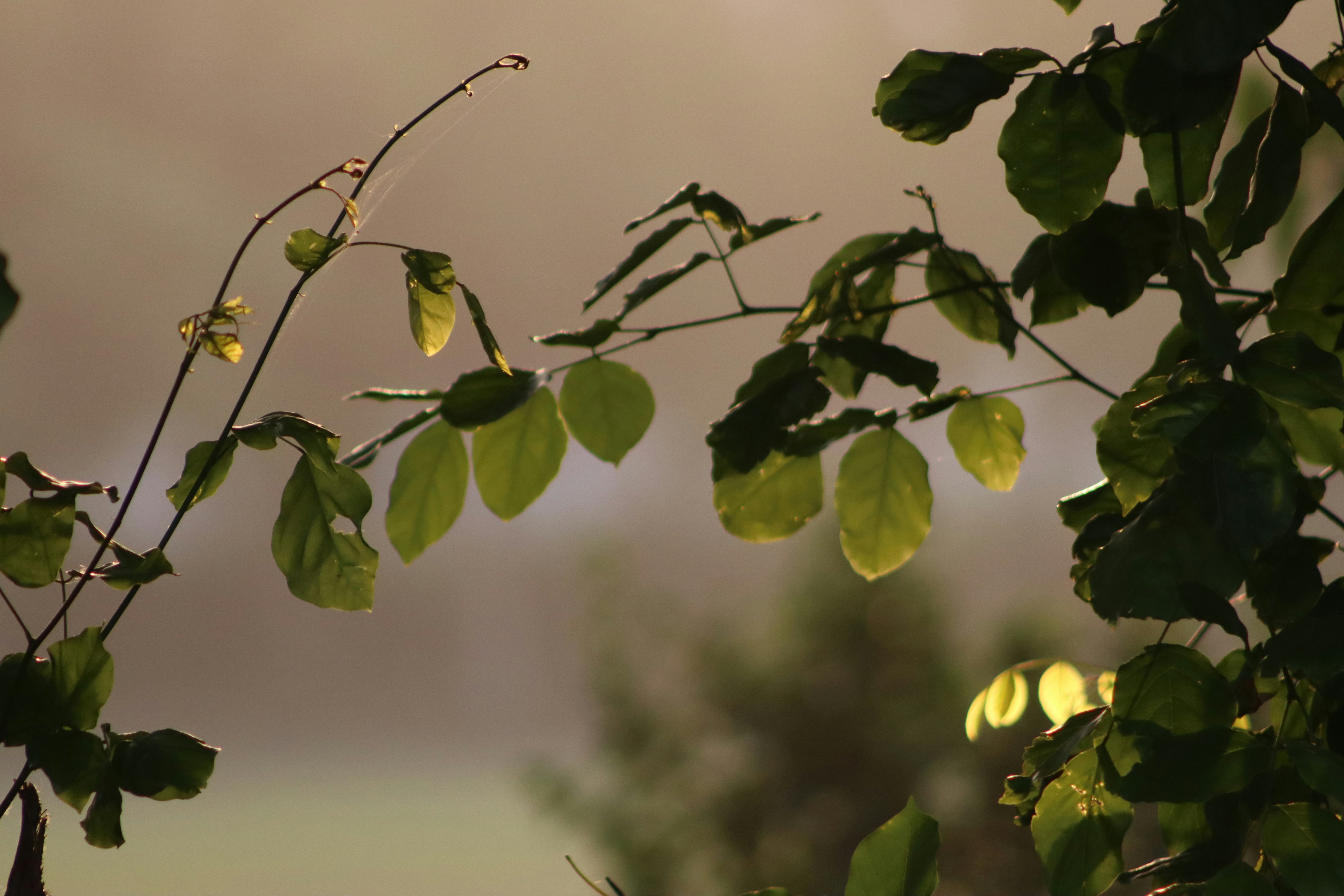 Photo by drphotographer152