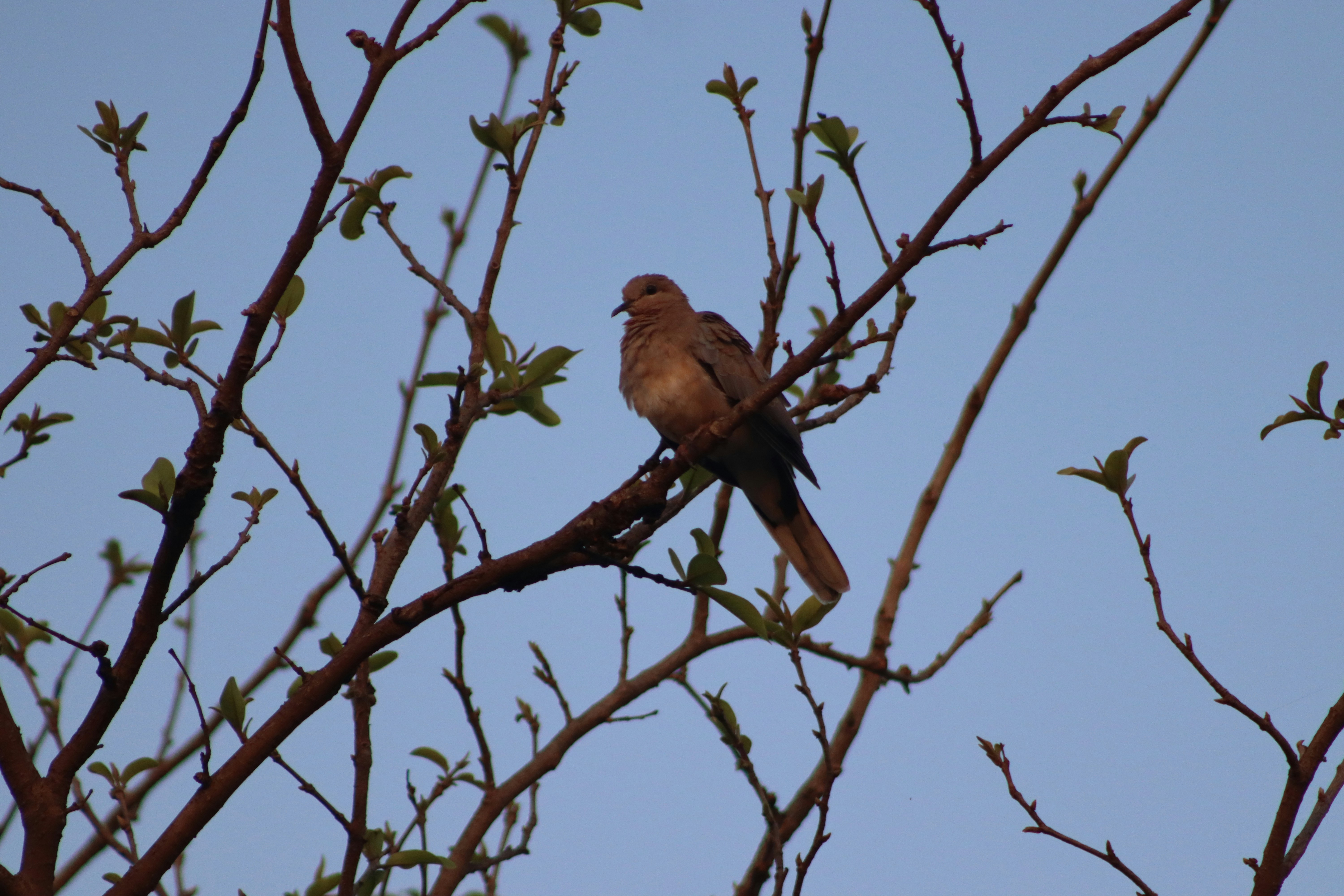 Photo by drphotographer152