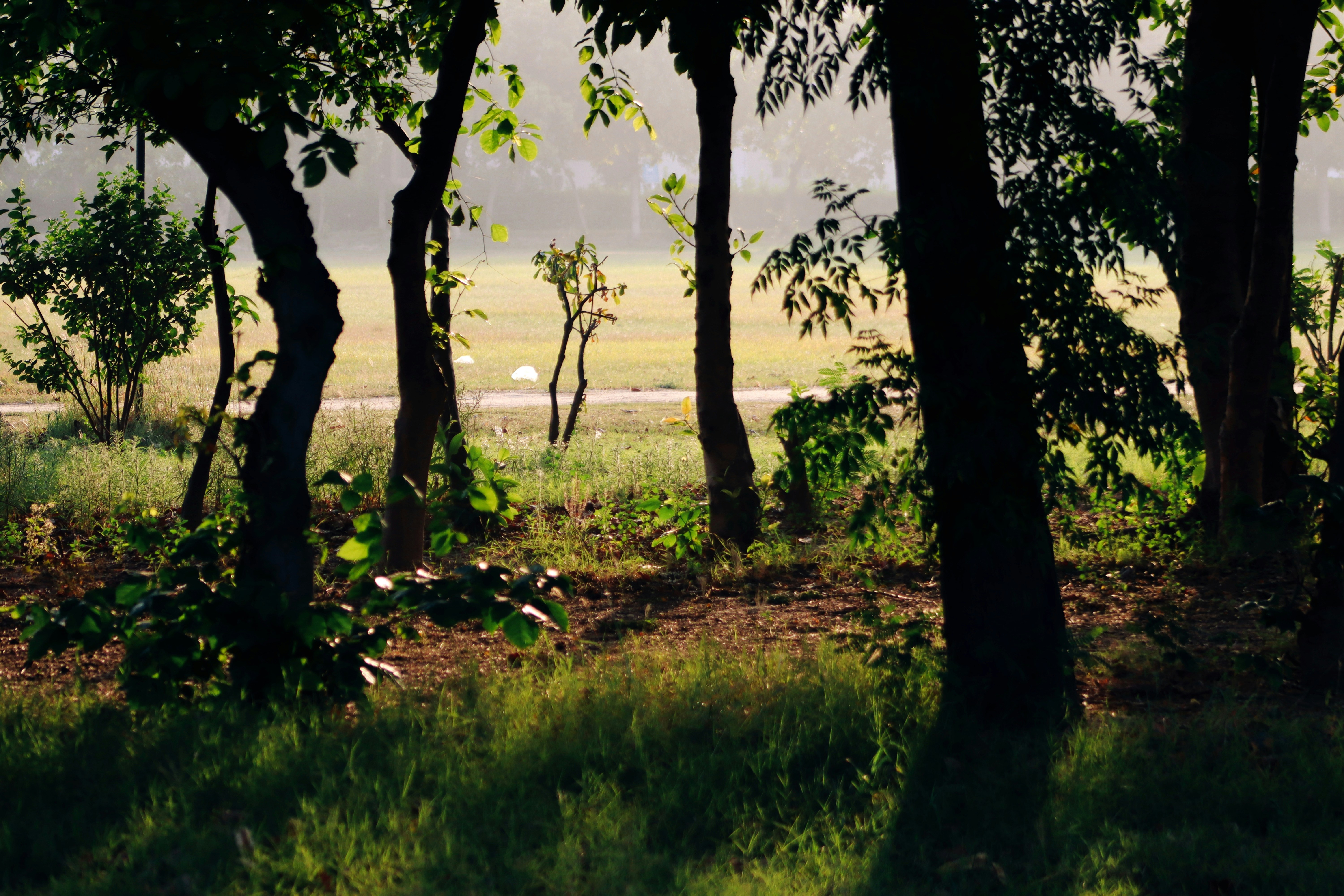 Photo by drphotographer152