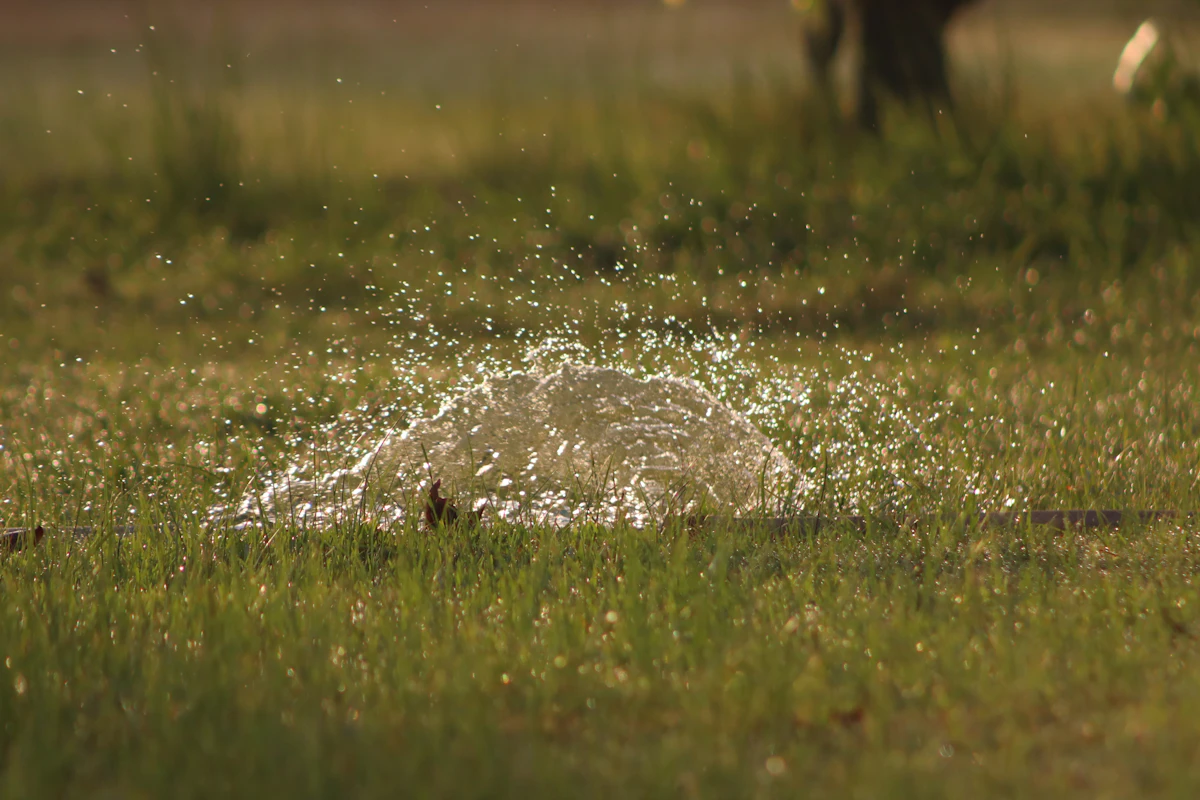 Water leaking up from an underground irrigation line