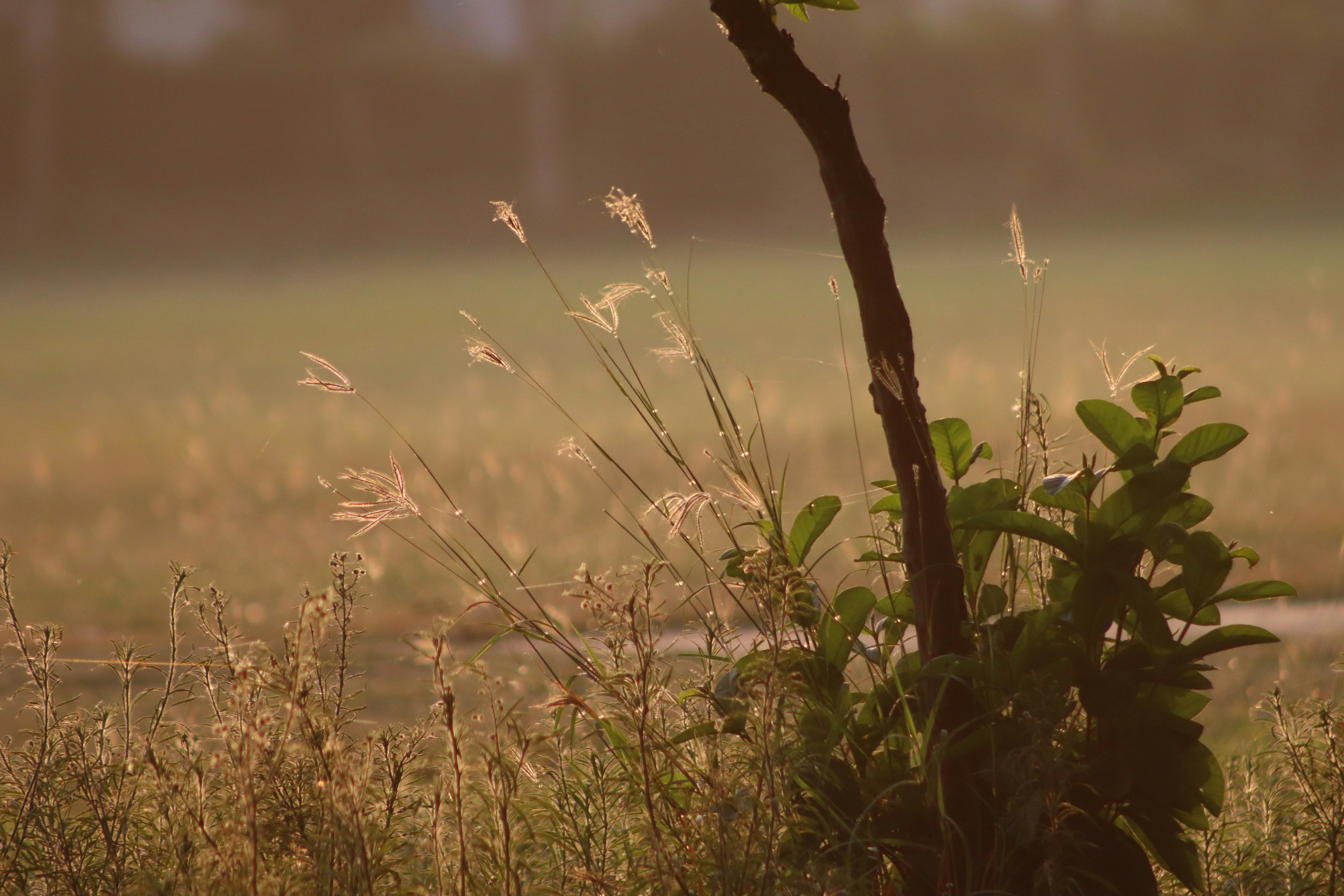 Photo by drphotographer152