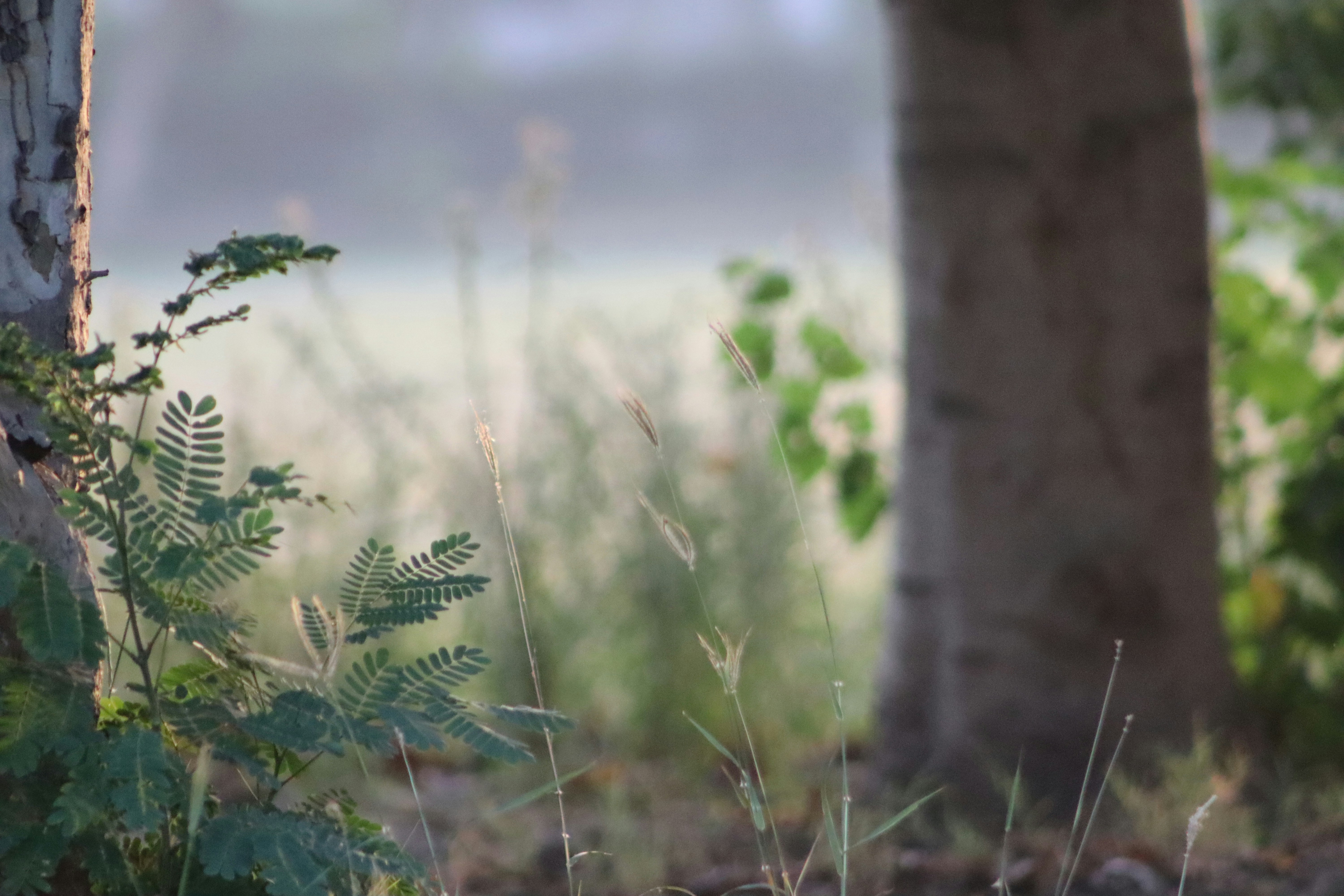 Photo by drphotographer152