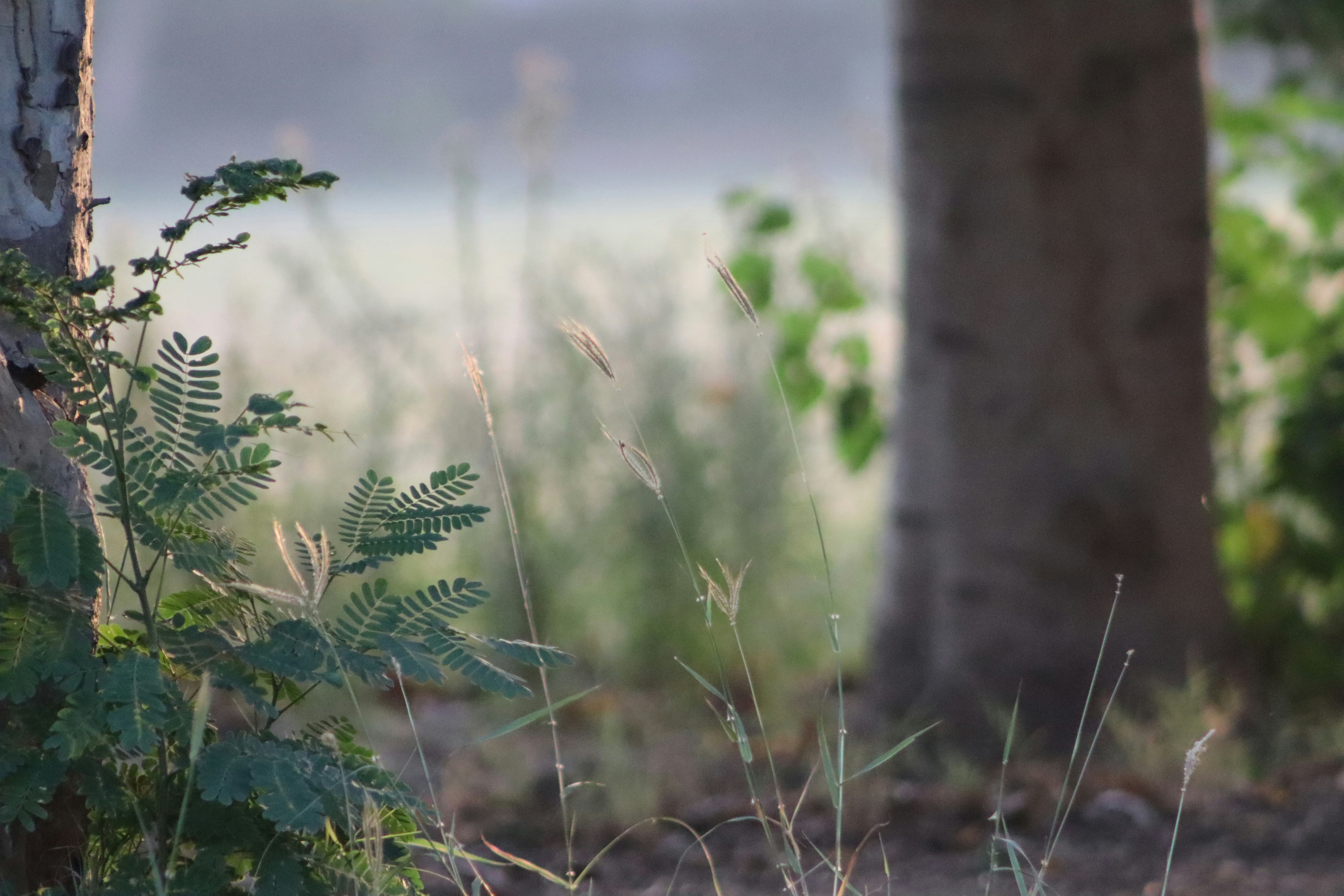 Photo by drphotographer152