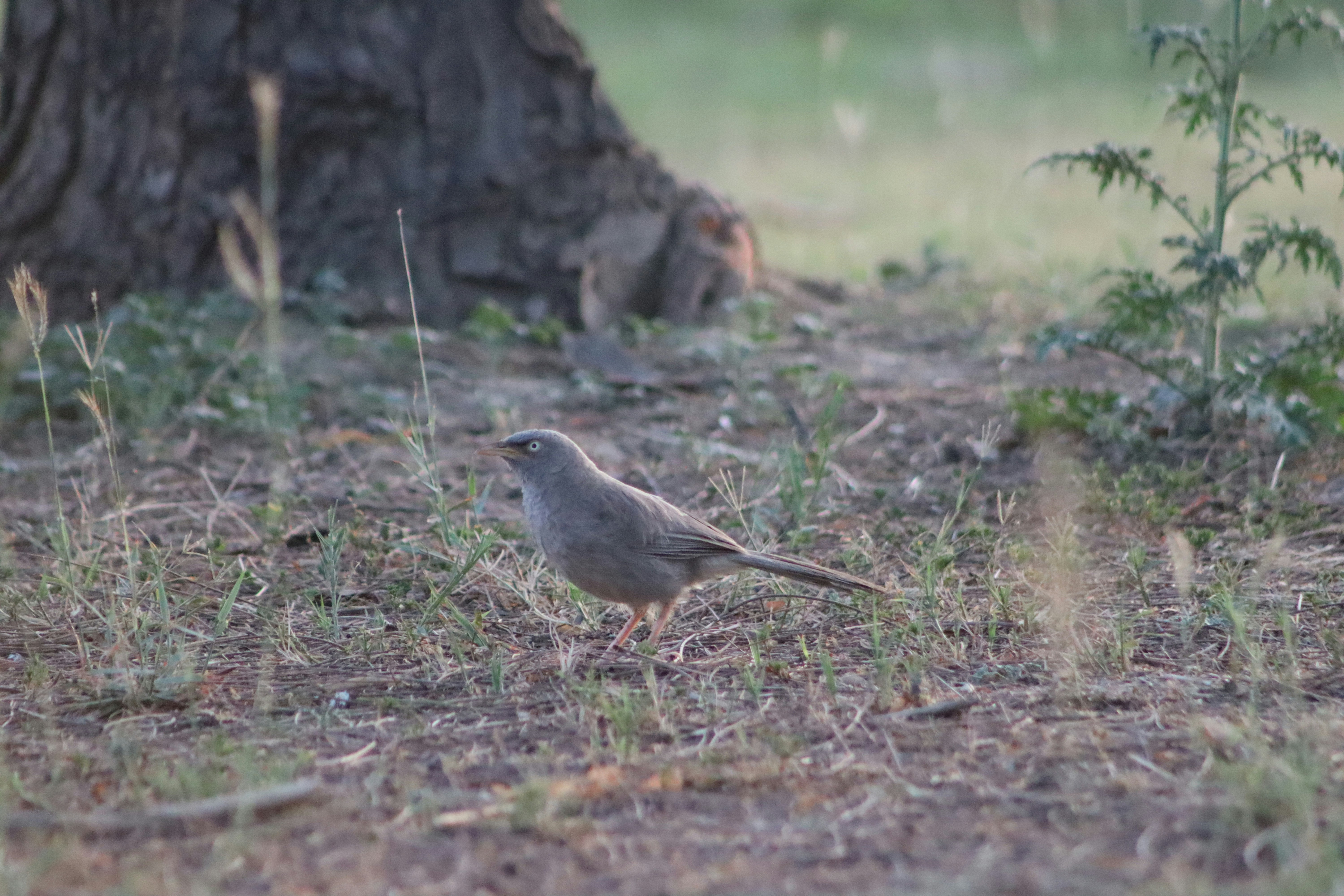 Photo by drphotographer152