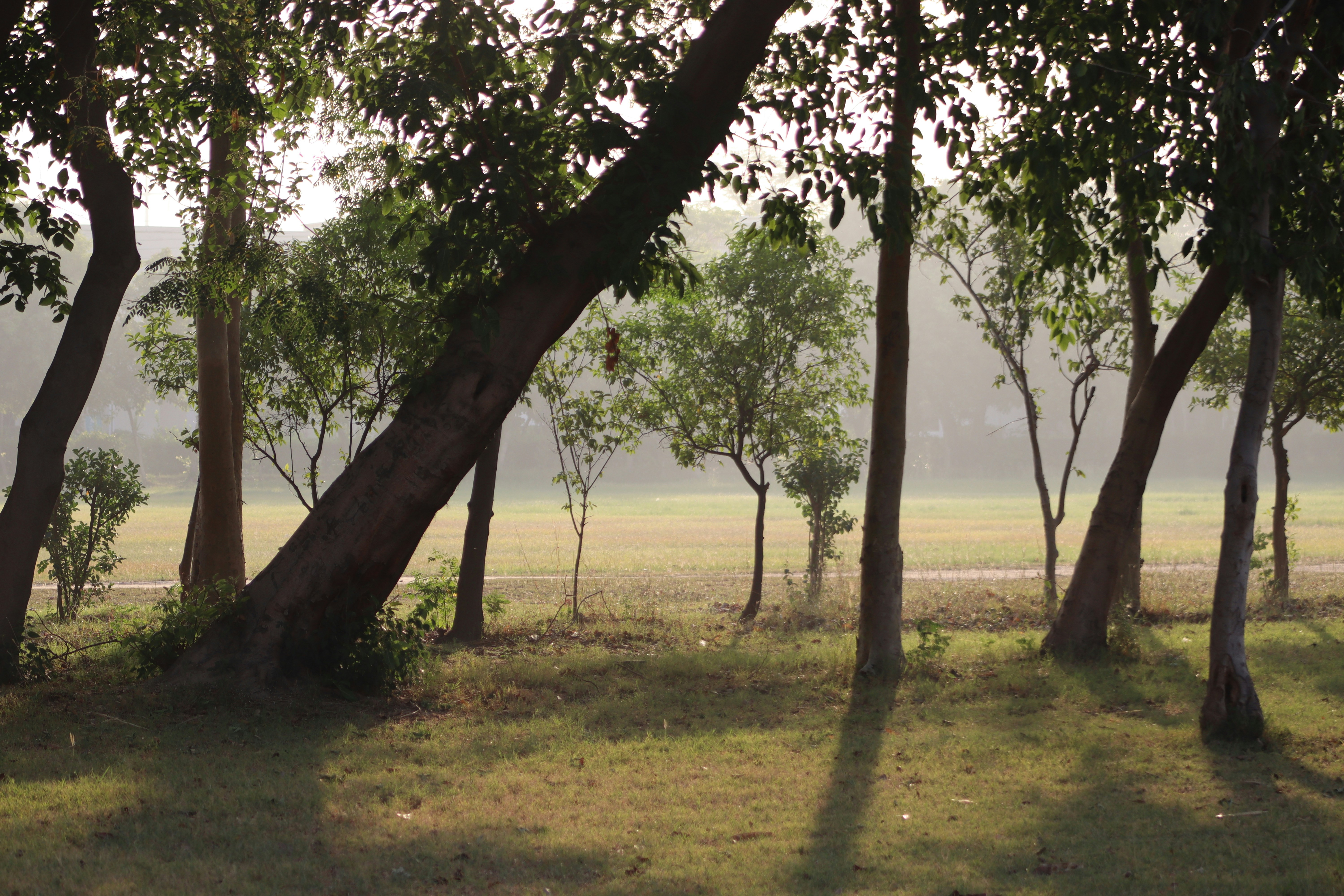 Photo by drphotographer152