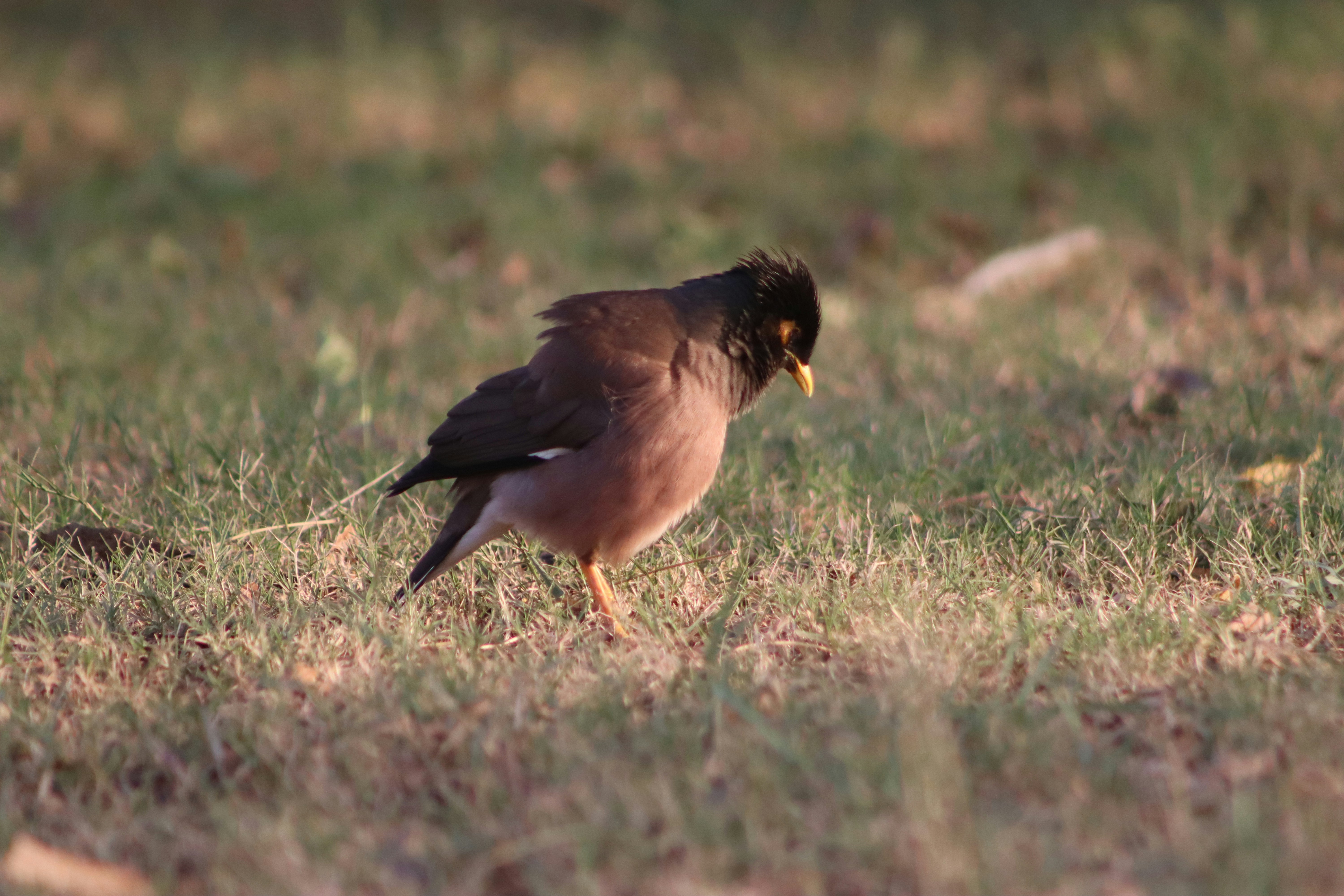 Photo by drphotographer152