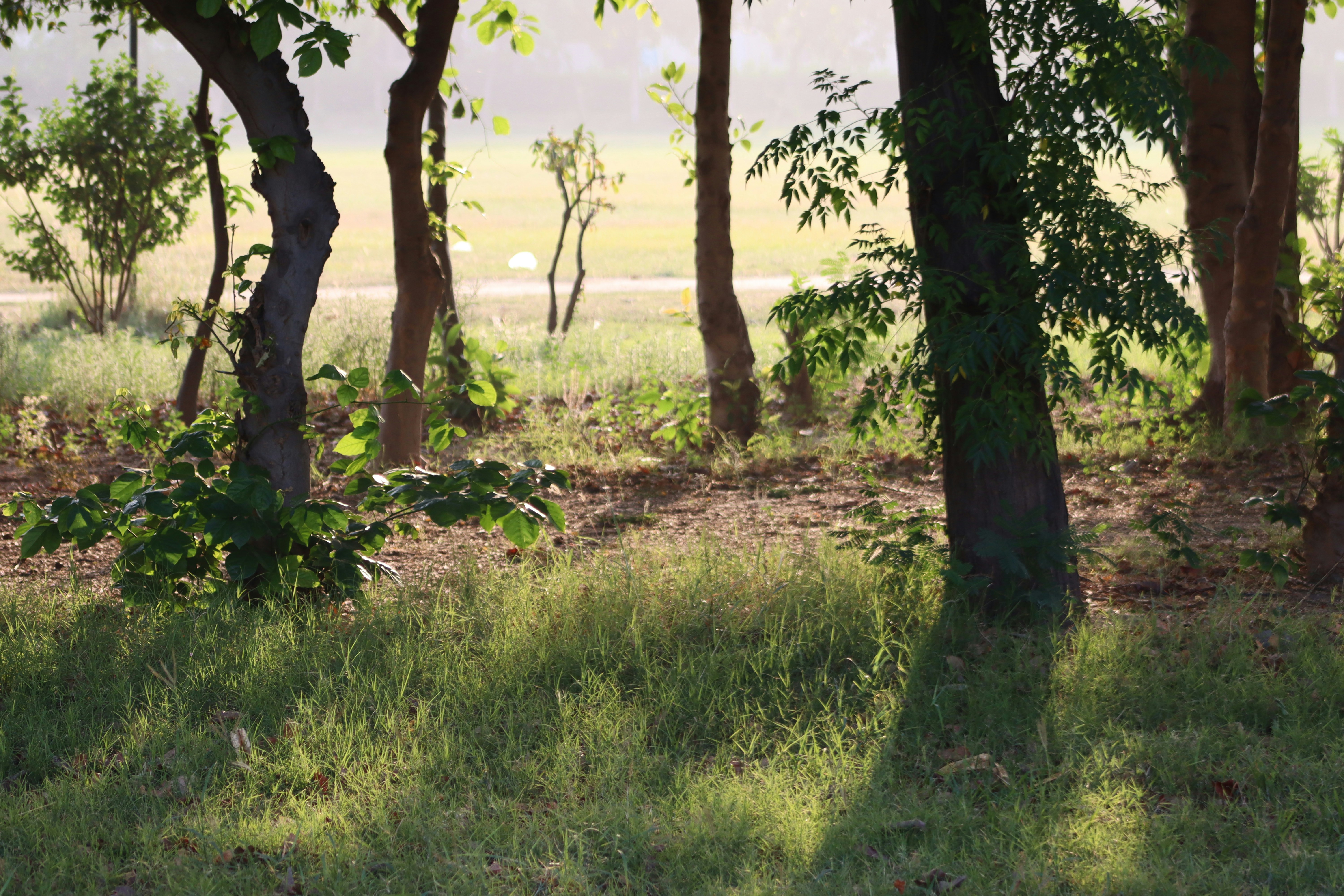 Photo by drphotographer152