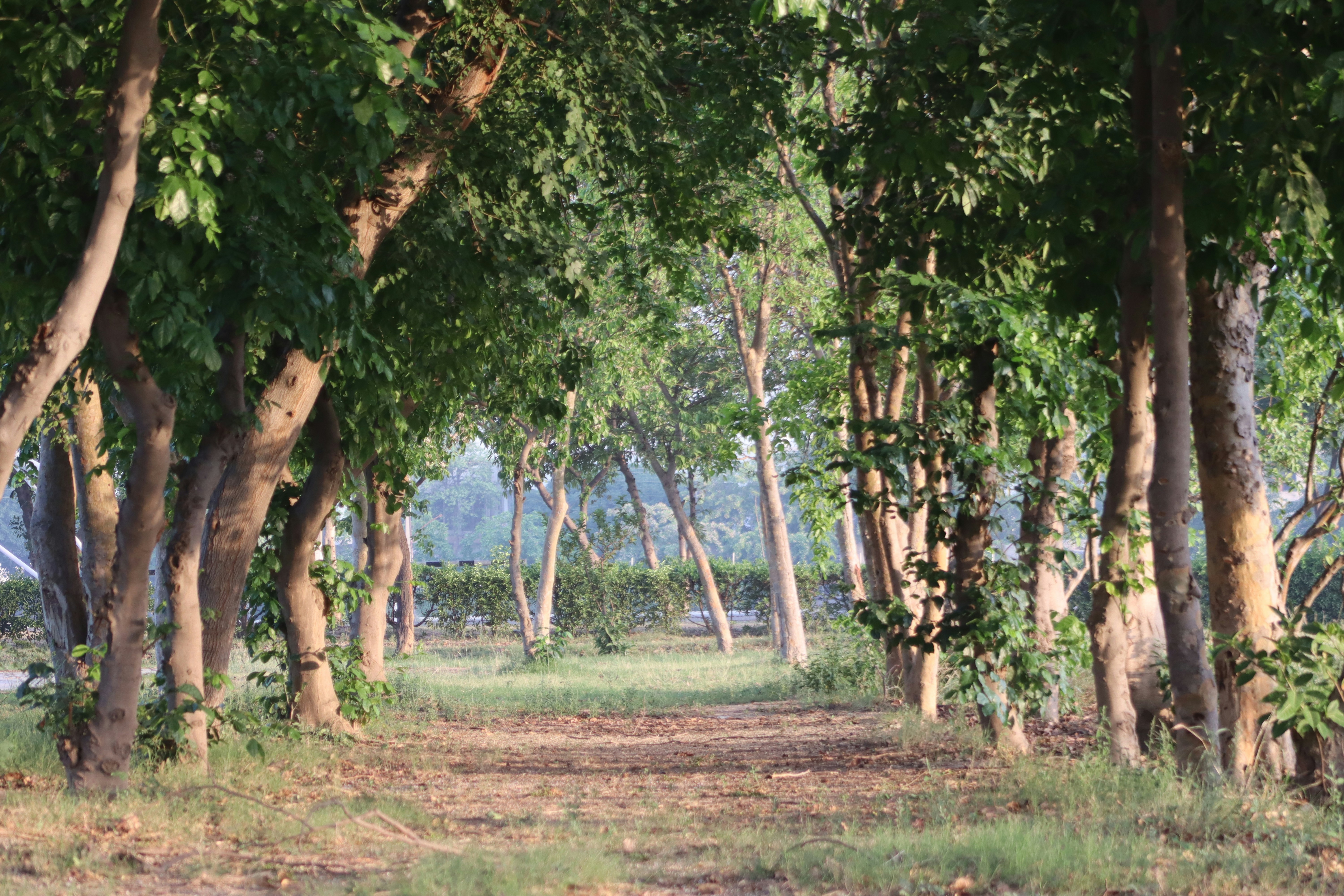 Photo by drphotographer152