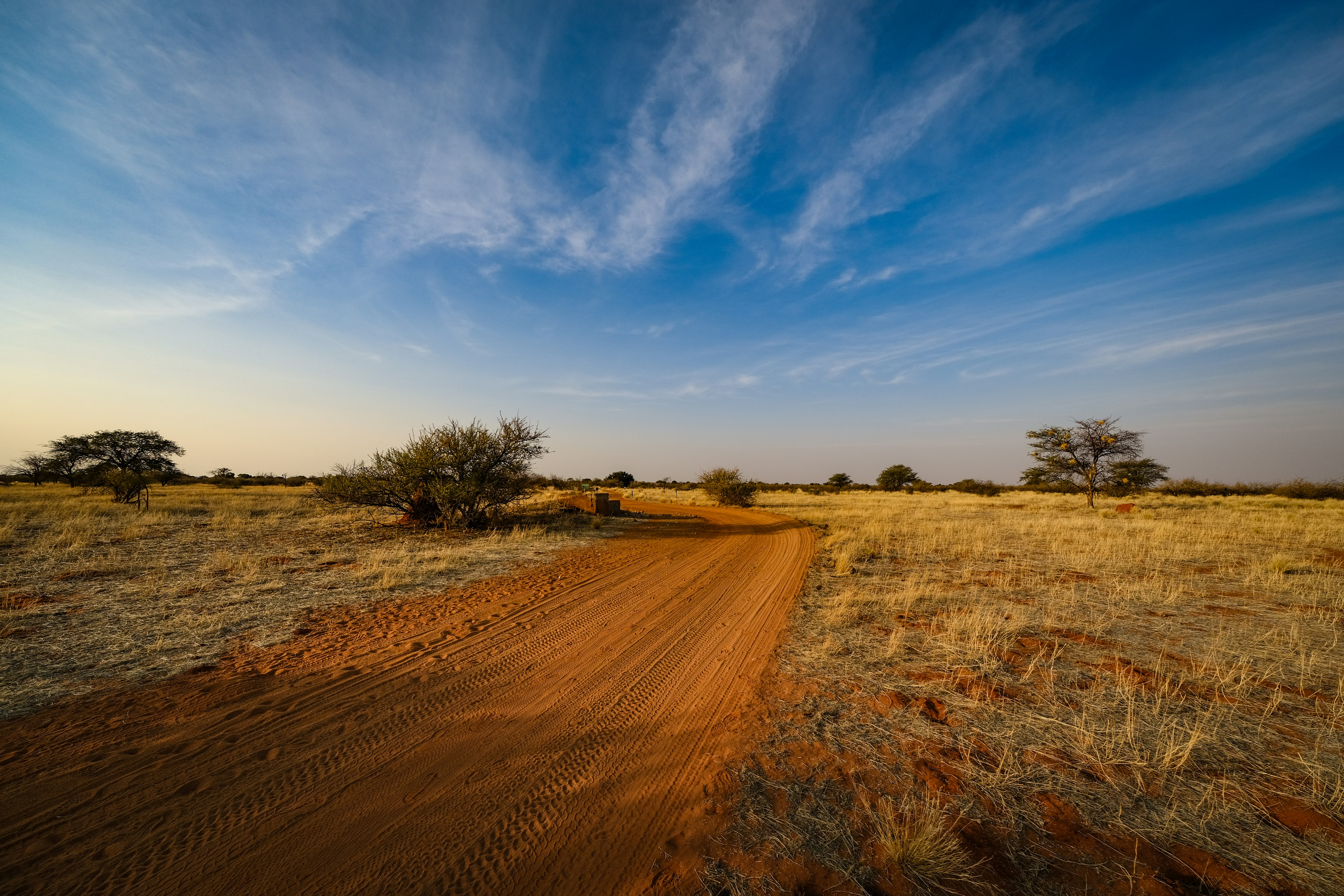 Photo by francesco_ungaro