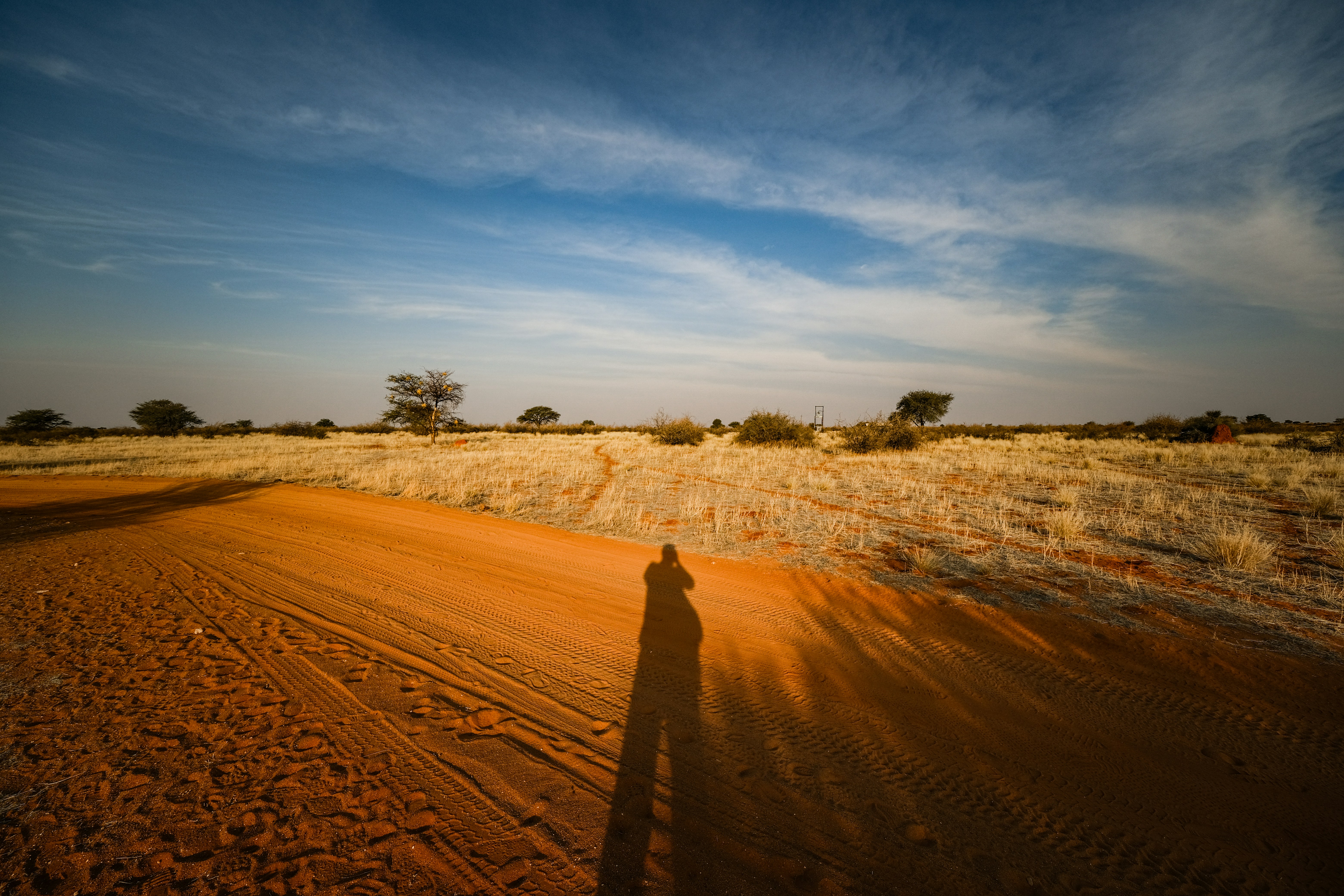 Photo by francesco_ungaro