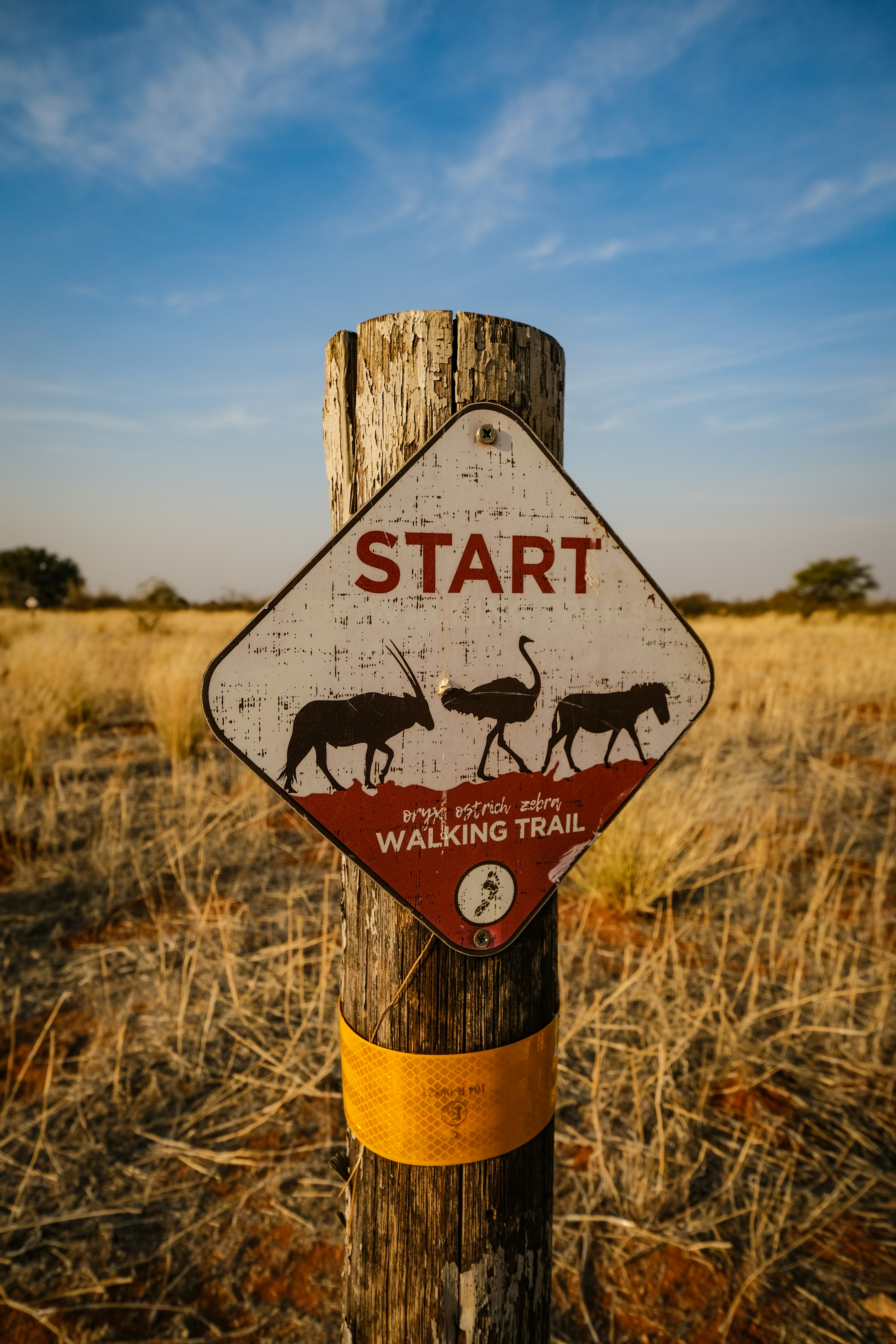 Planning a Safari in Botswana from Europe: Best Seasons, Flights and Budget Tips - Packing Essentials for a Botswana Safari