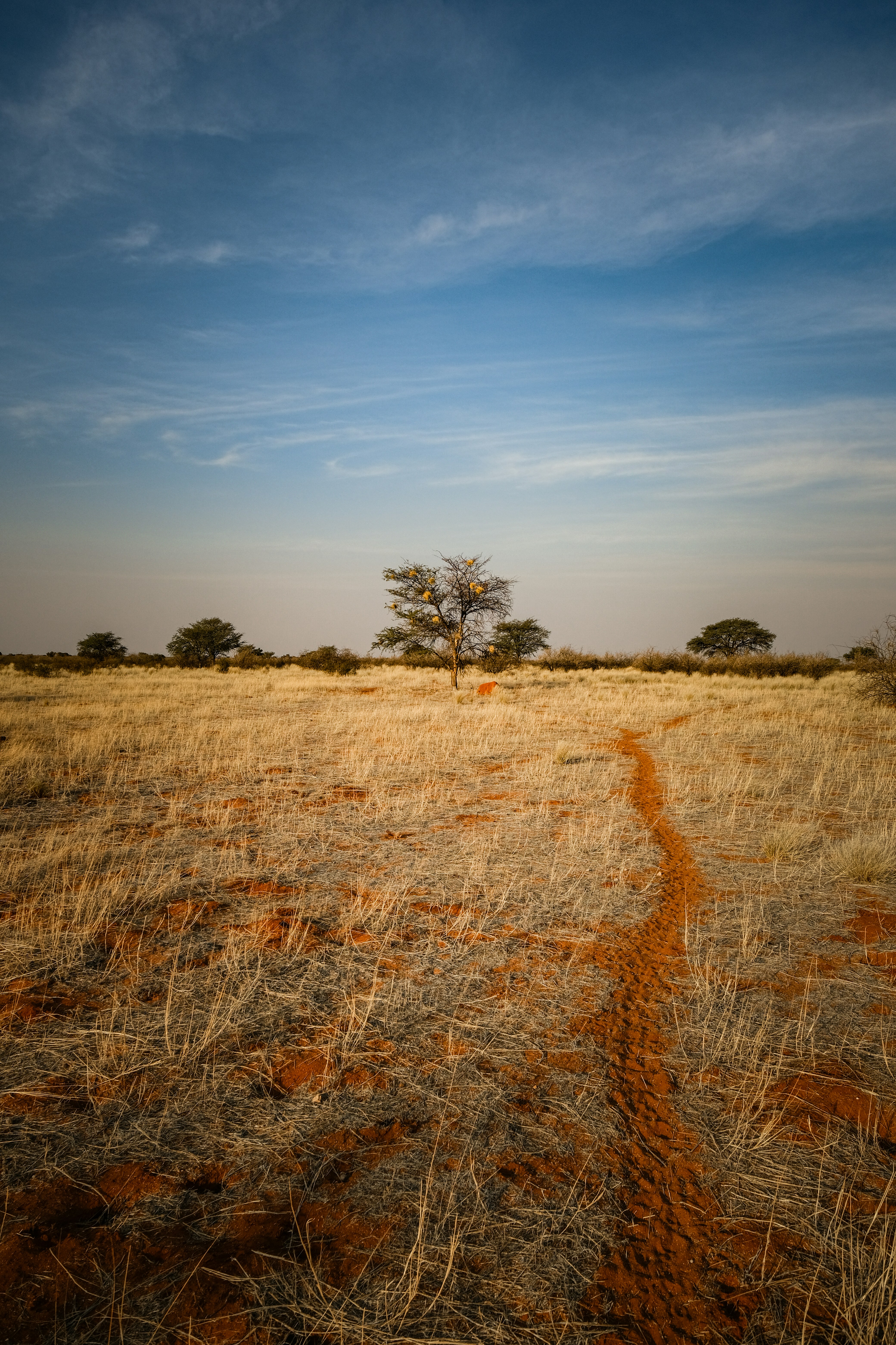 Photo by francesco_ungaro