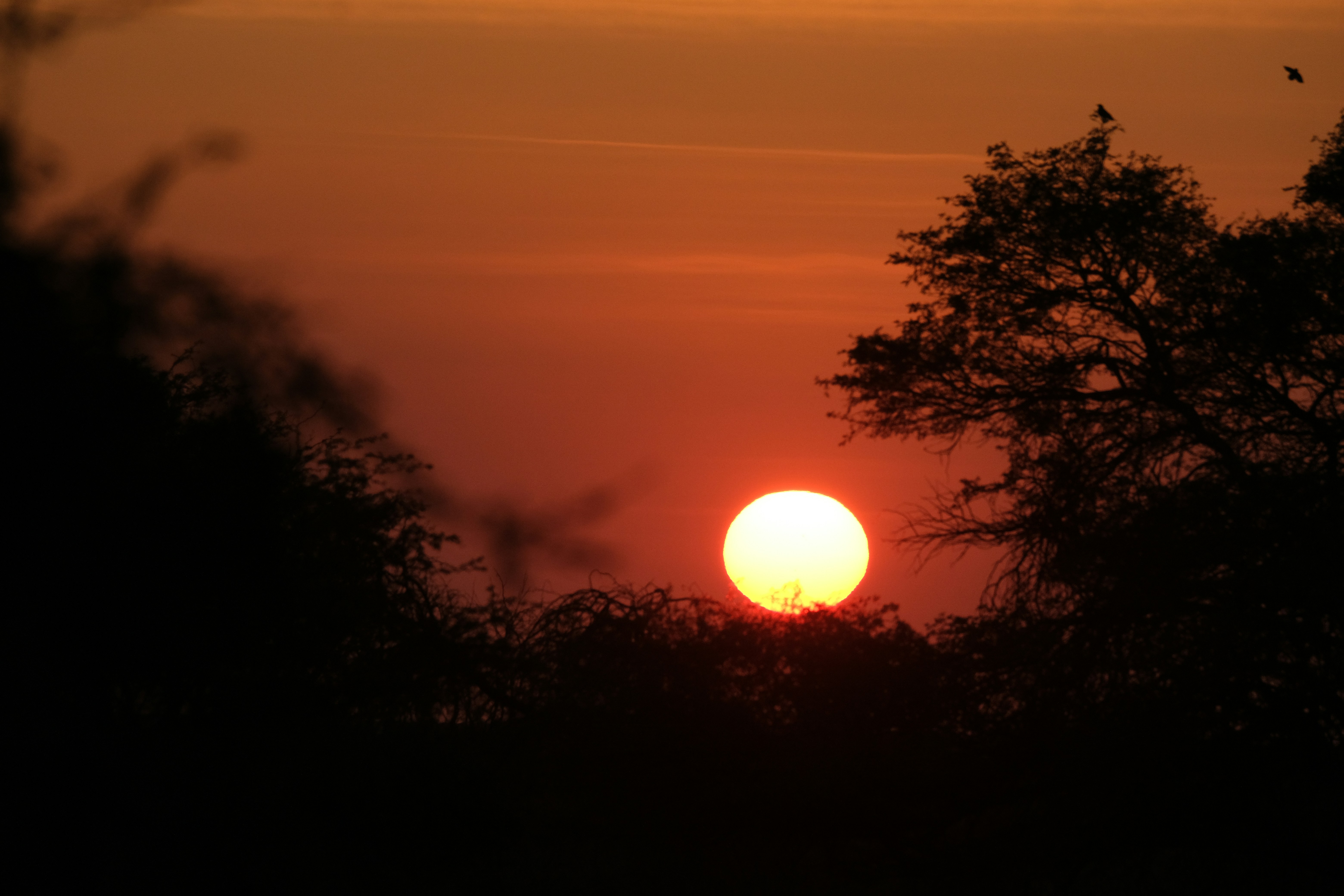 Photo by francesco_ungaro