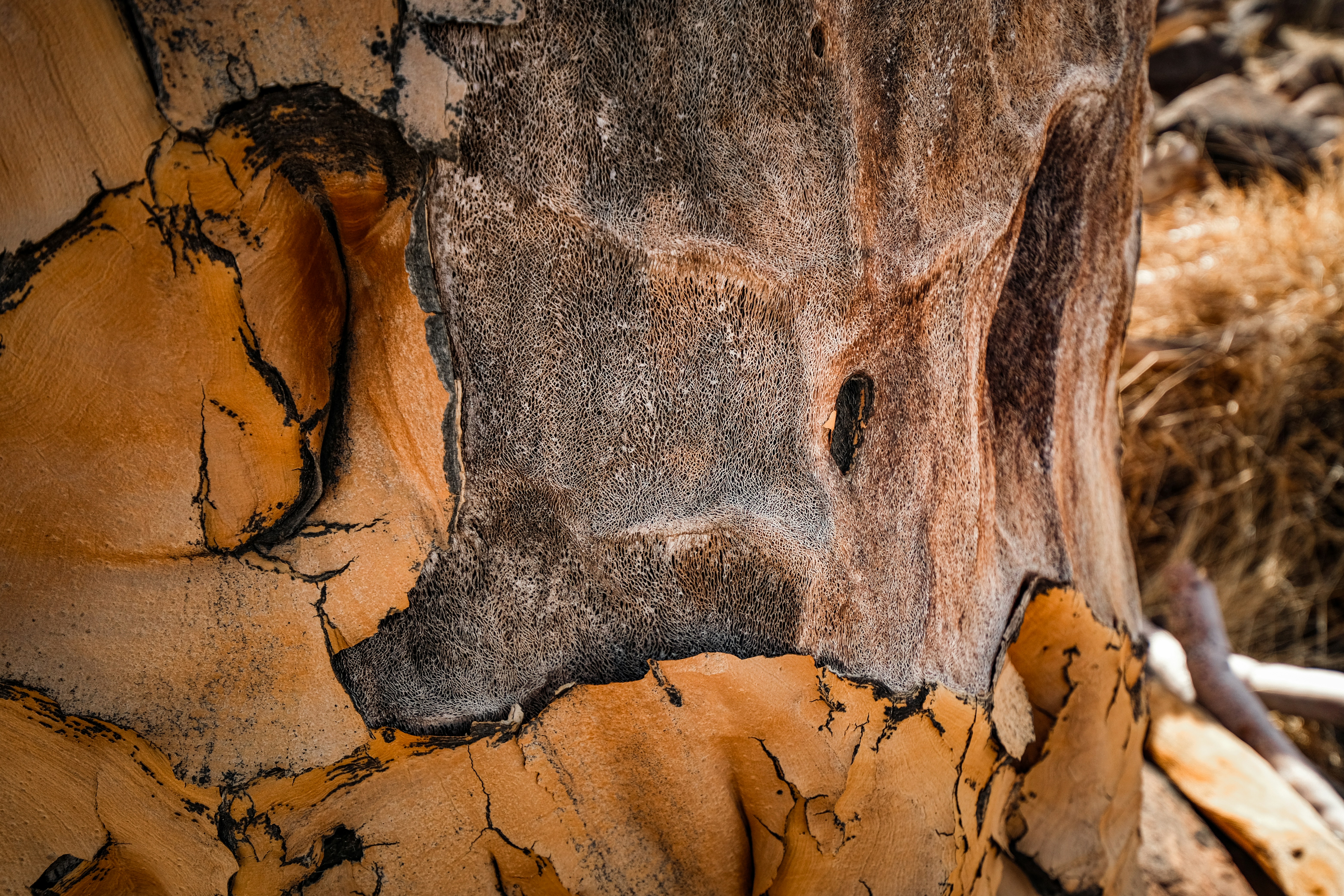 Photo by francesco_ungaro