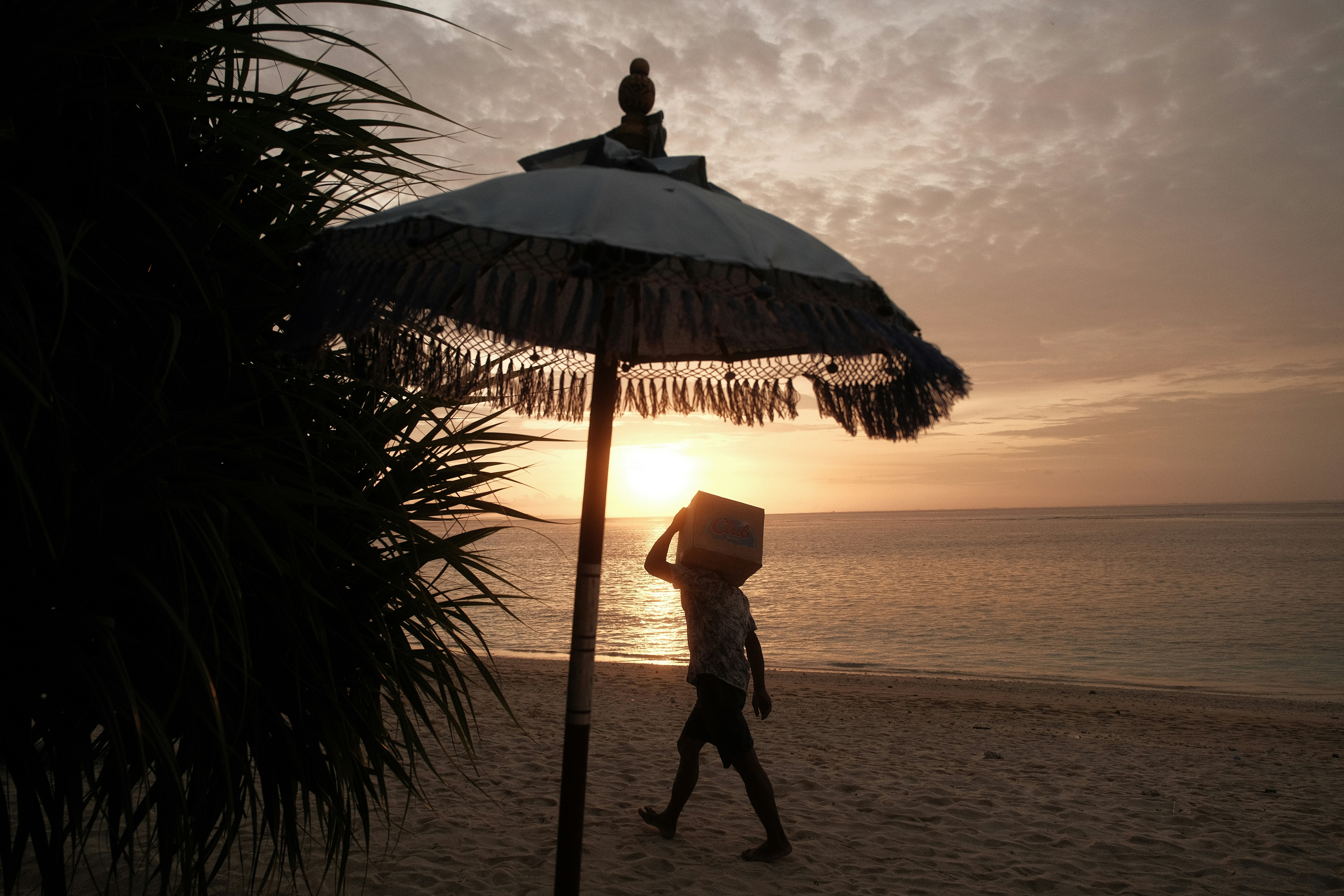 a person walking on a beach with an umbrella