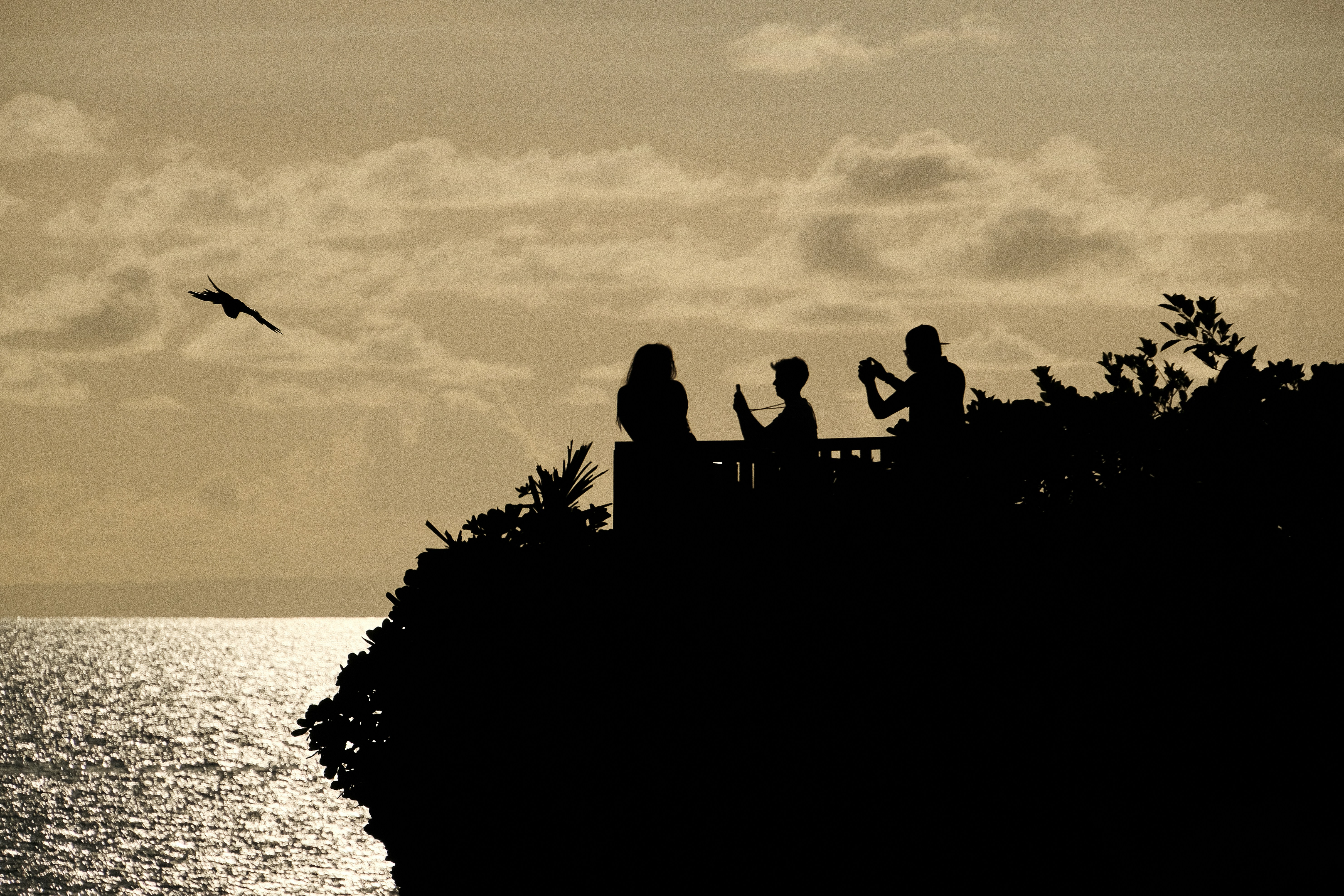Les enseignants australiens parmi les plus grands utilisateurs d’IA en classe selon une nouvelle étude