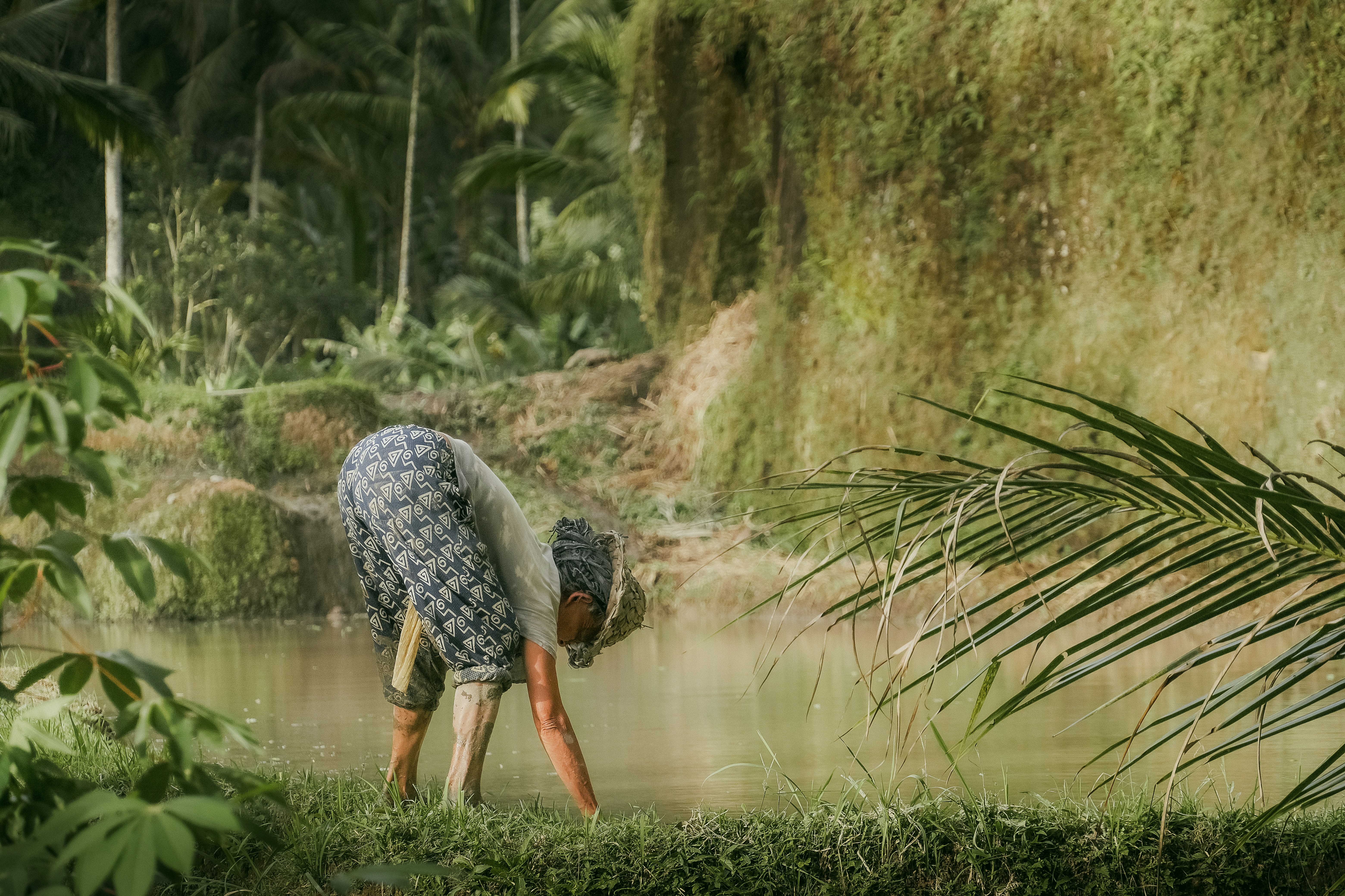 a man bending over to pick up a carrot