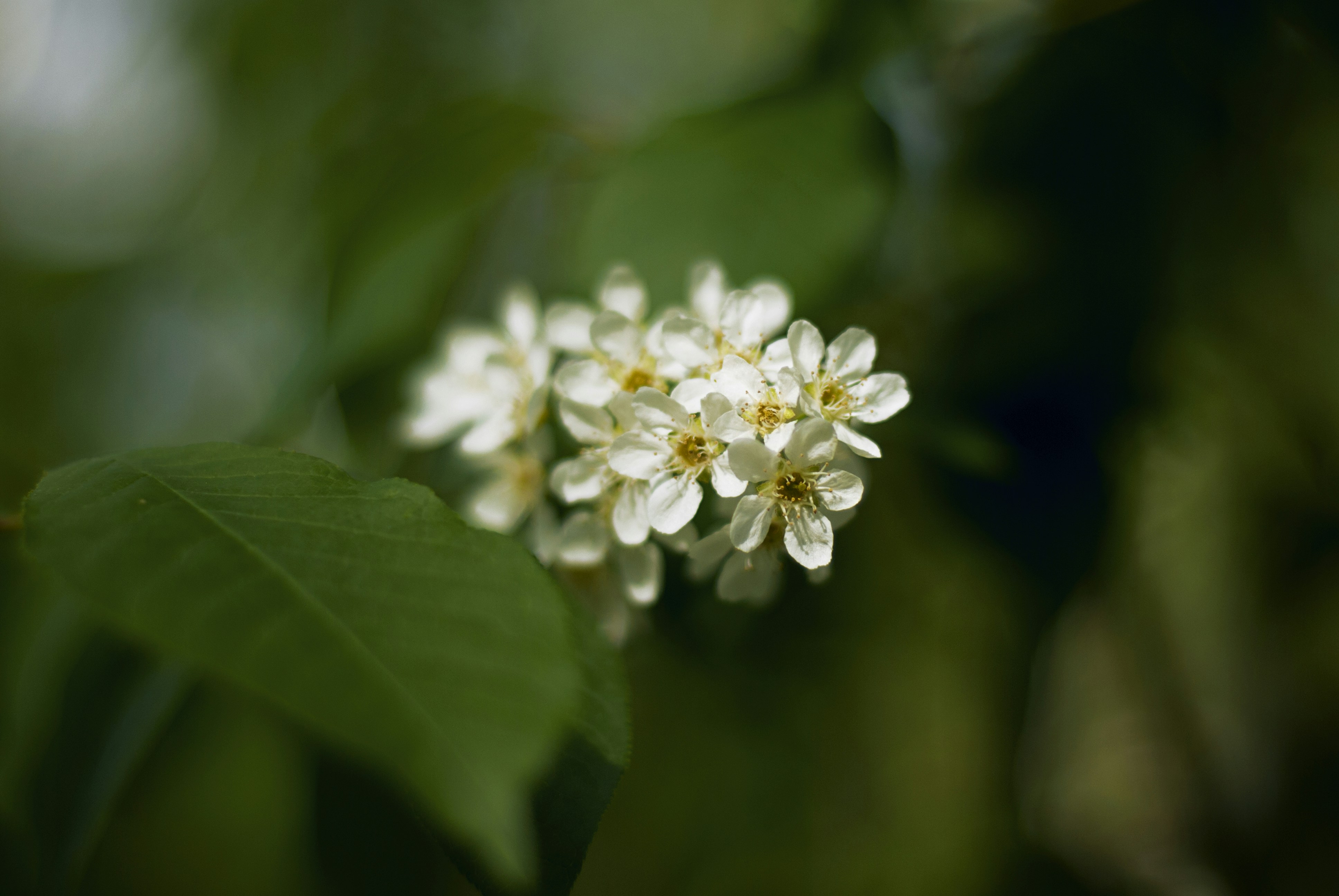 Photo by kovalskihelga