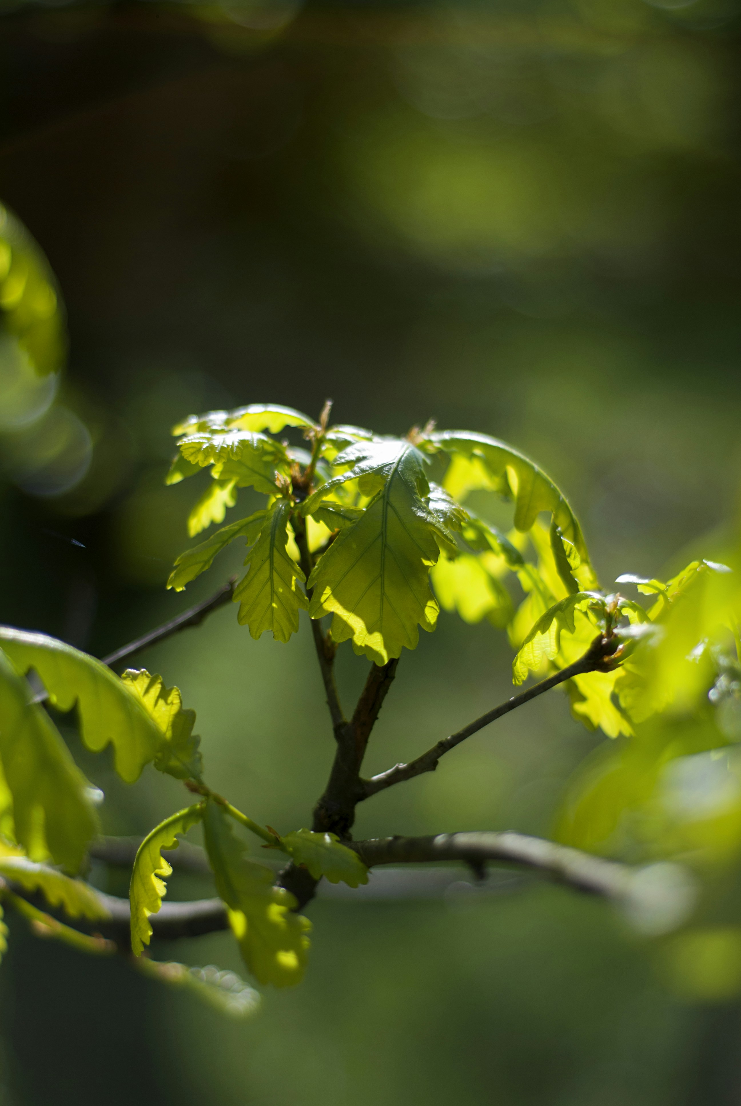 Photo by kovalskihelga